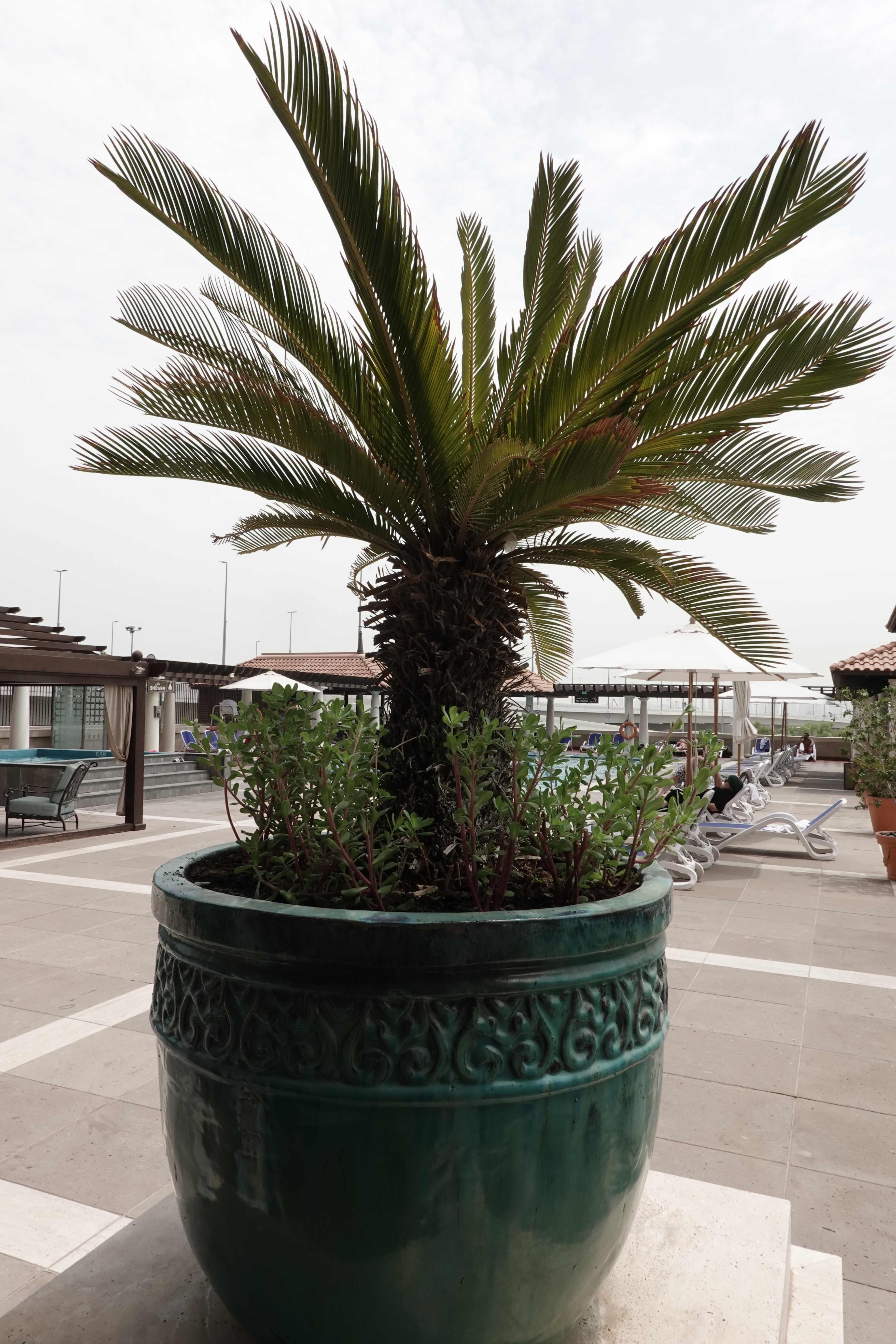 Hyatt Regency Dubai & The Galleria Residenz Ansicht 3