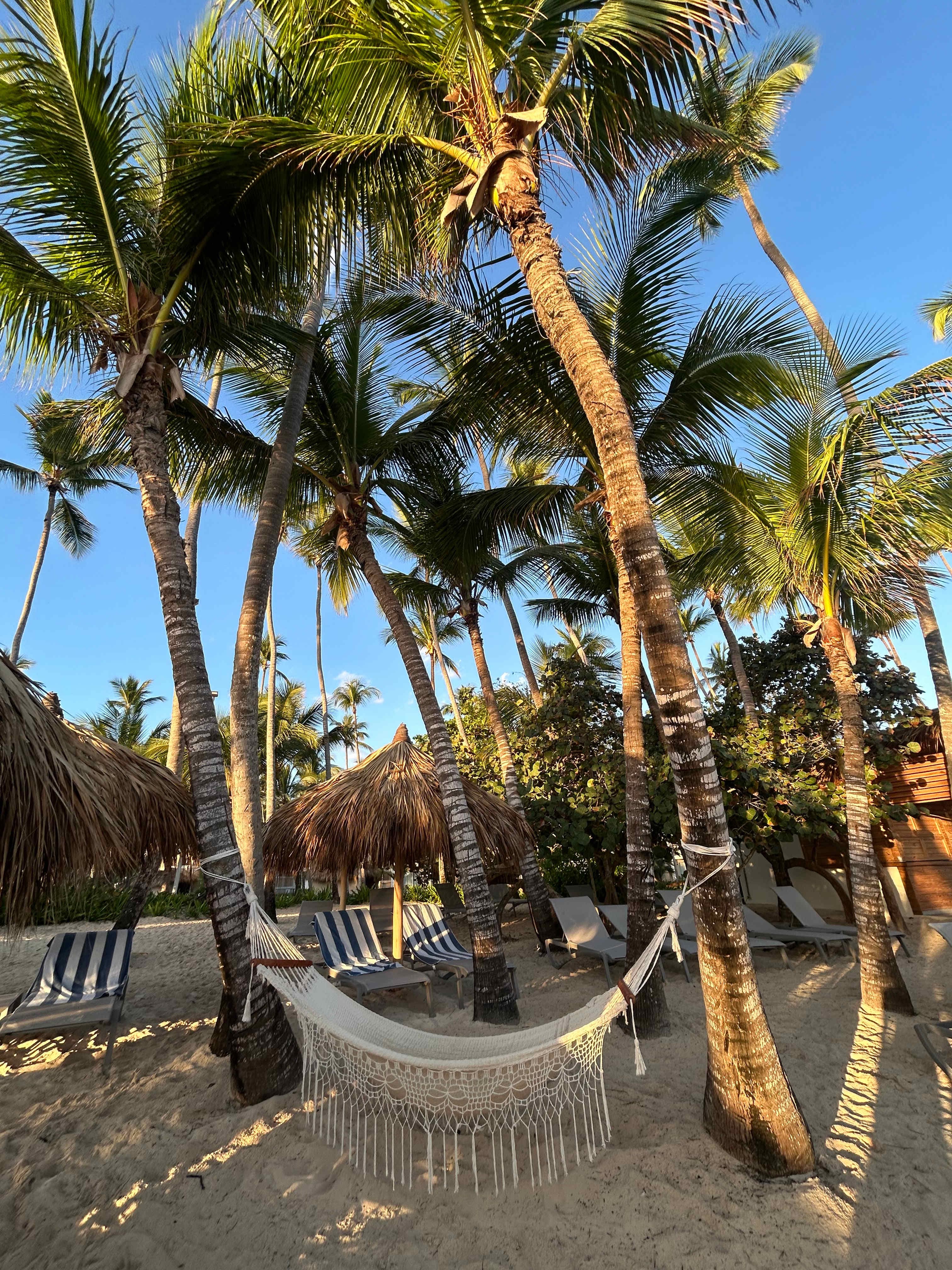 Family Selection at Grand Palladium Select Bávaro - All Inclusive Ansicht 3