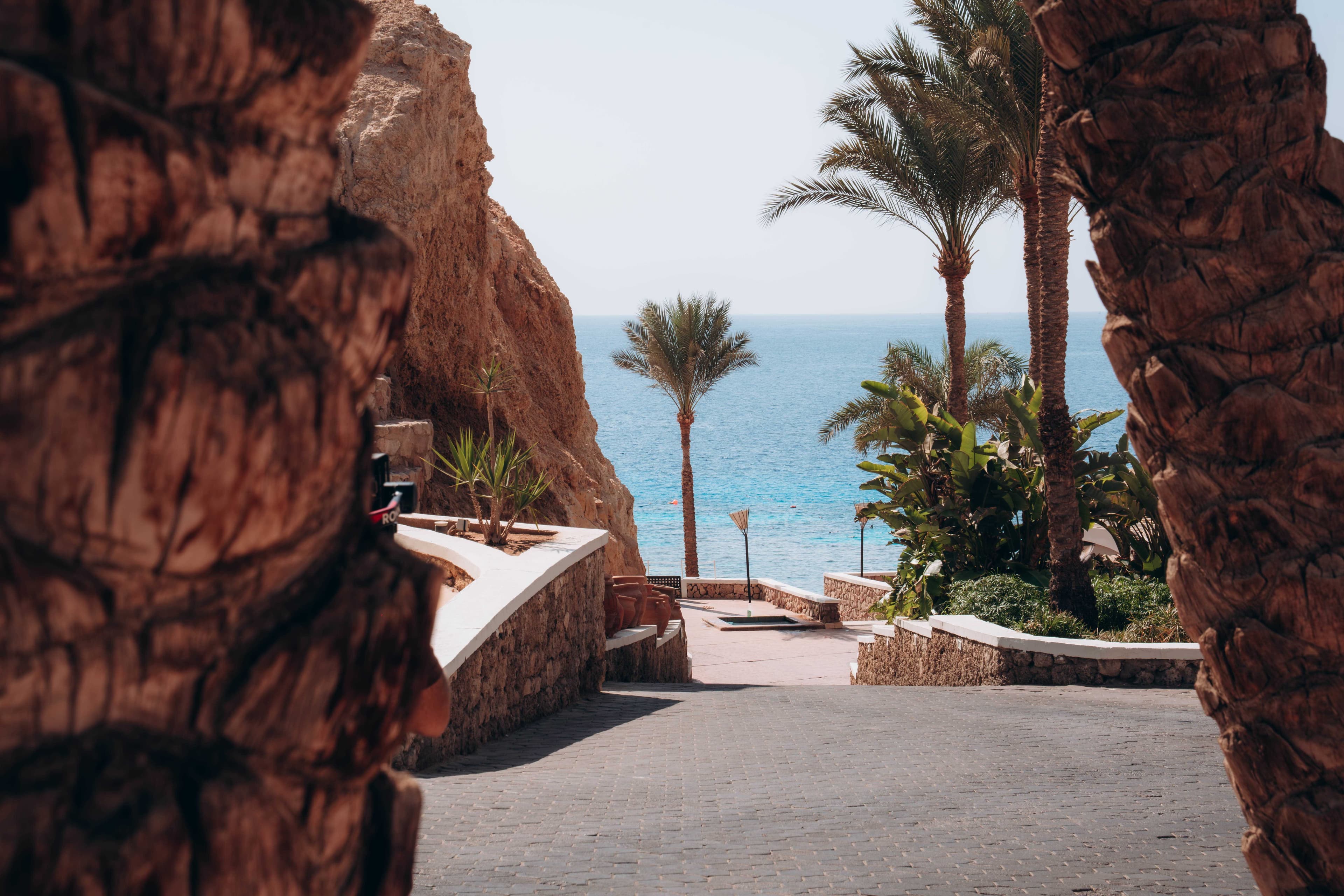 Sentido Reef Oasis Resort Ansicht 8