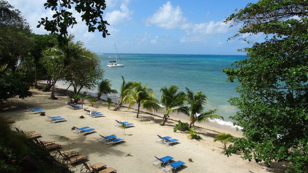 The Coco de Mer Hotel & Black Parrot Suites Ansicht 9
