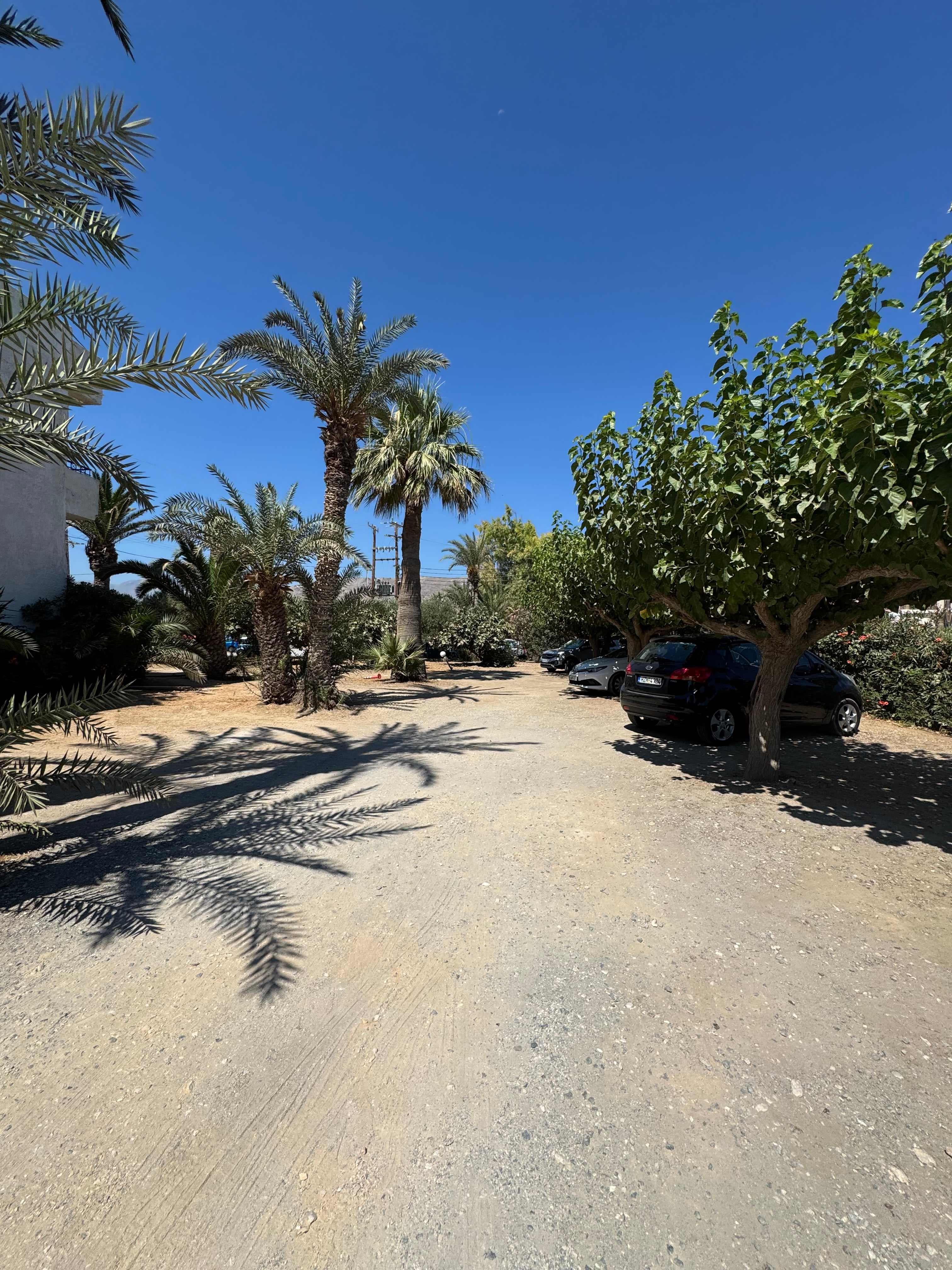 Hotel Gorgona Ansicht 8
