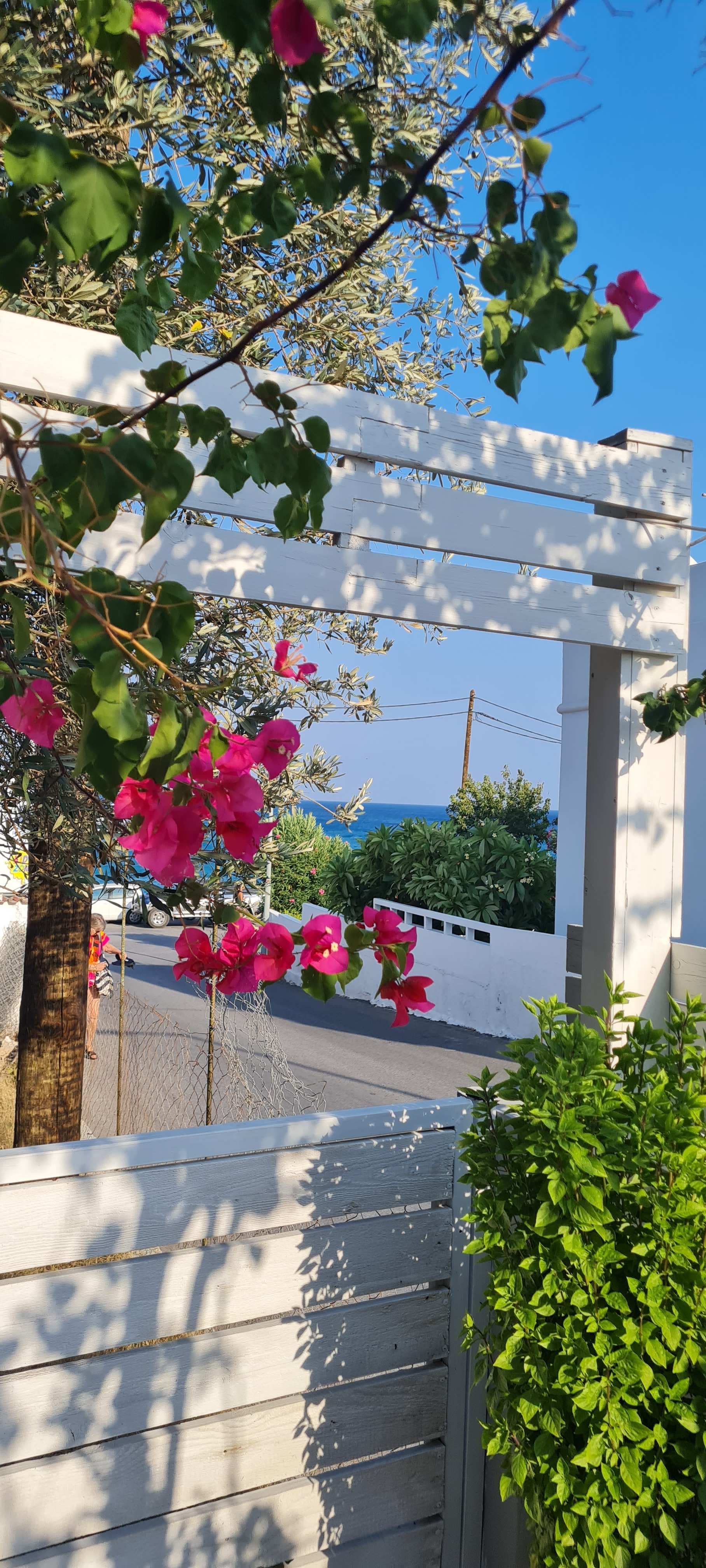 Apartments Aroma Stegna Ansicht 6