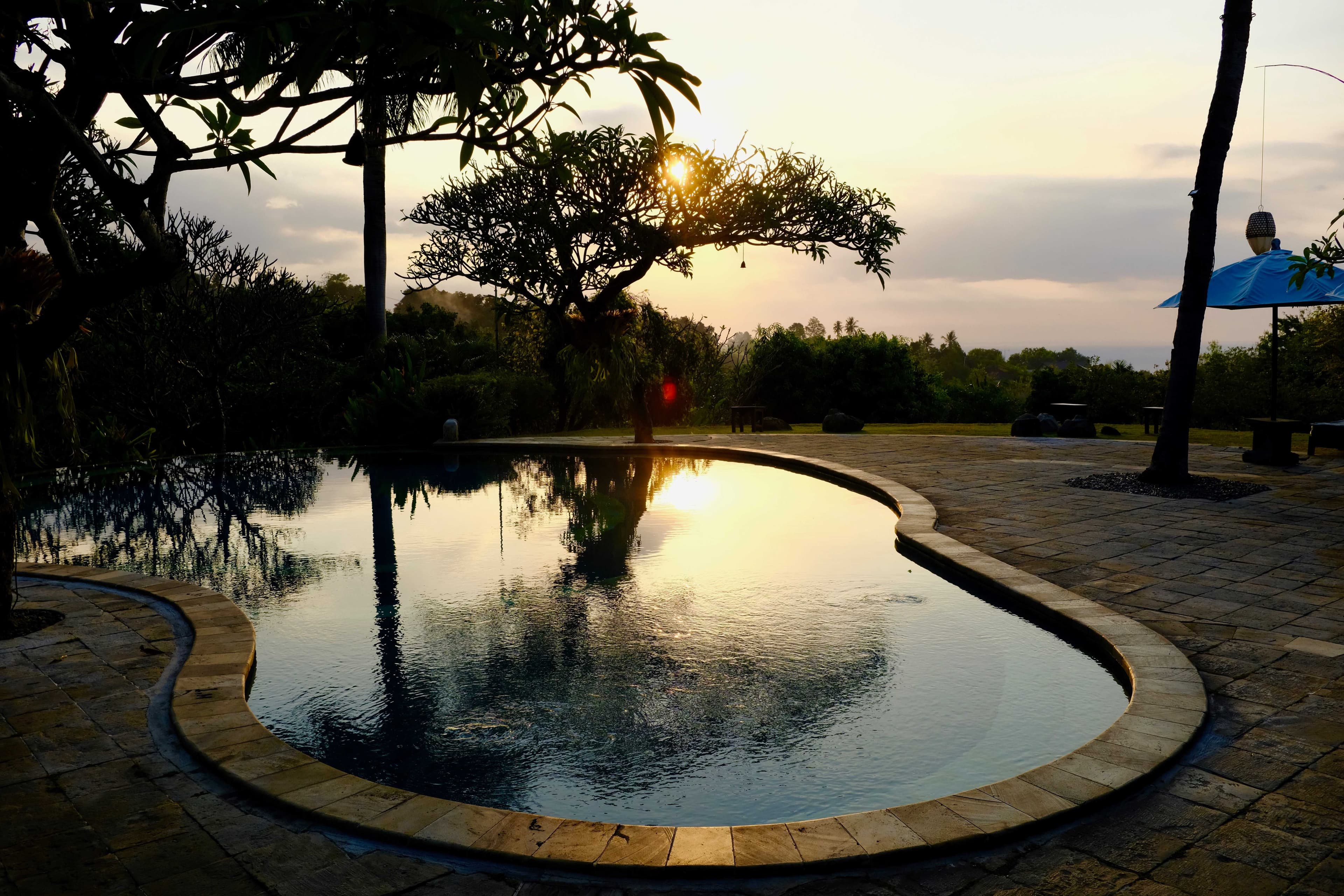 The Damai Ansicht 6