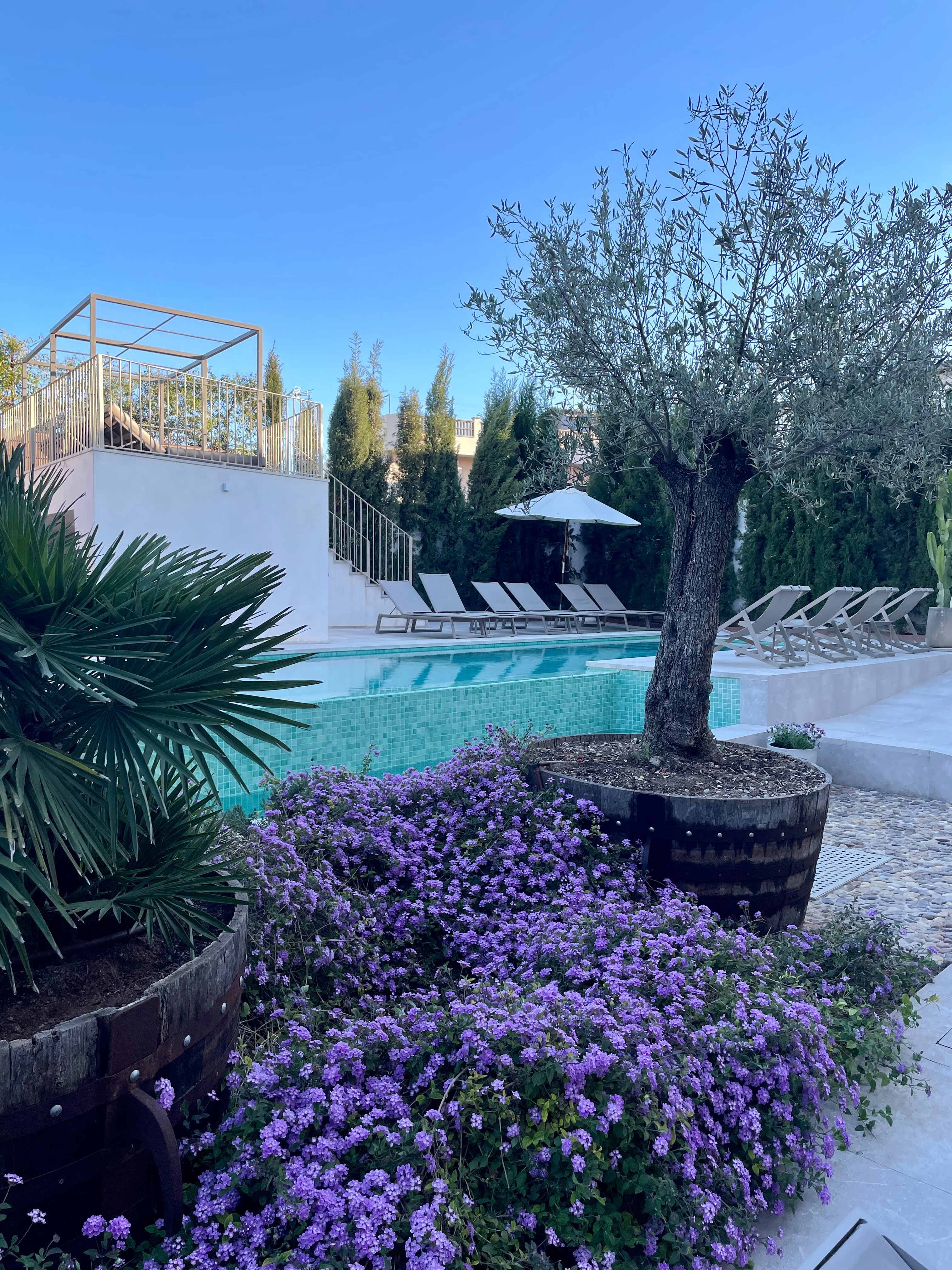 Ynaira Hotel Ansicht 7