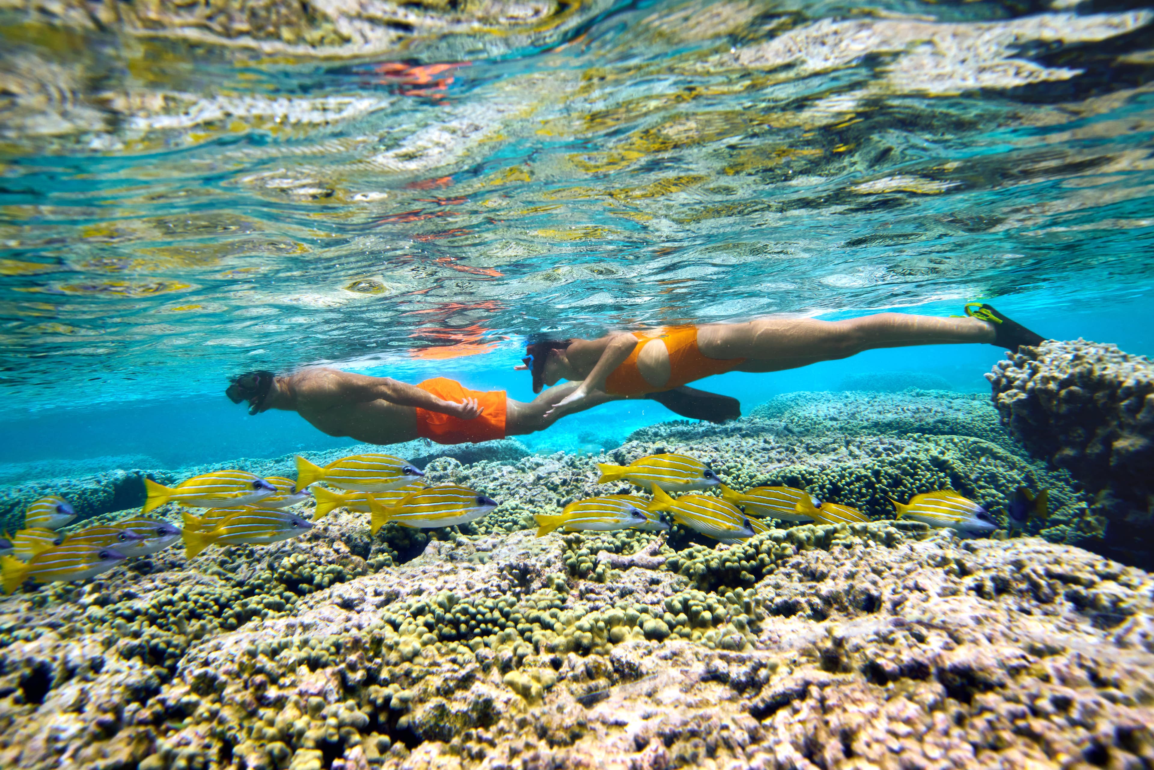 Le Meridien Maldives Resort & Spa Ansicht 10