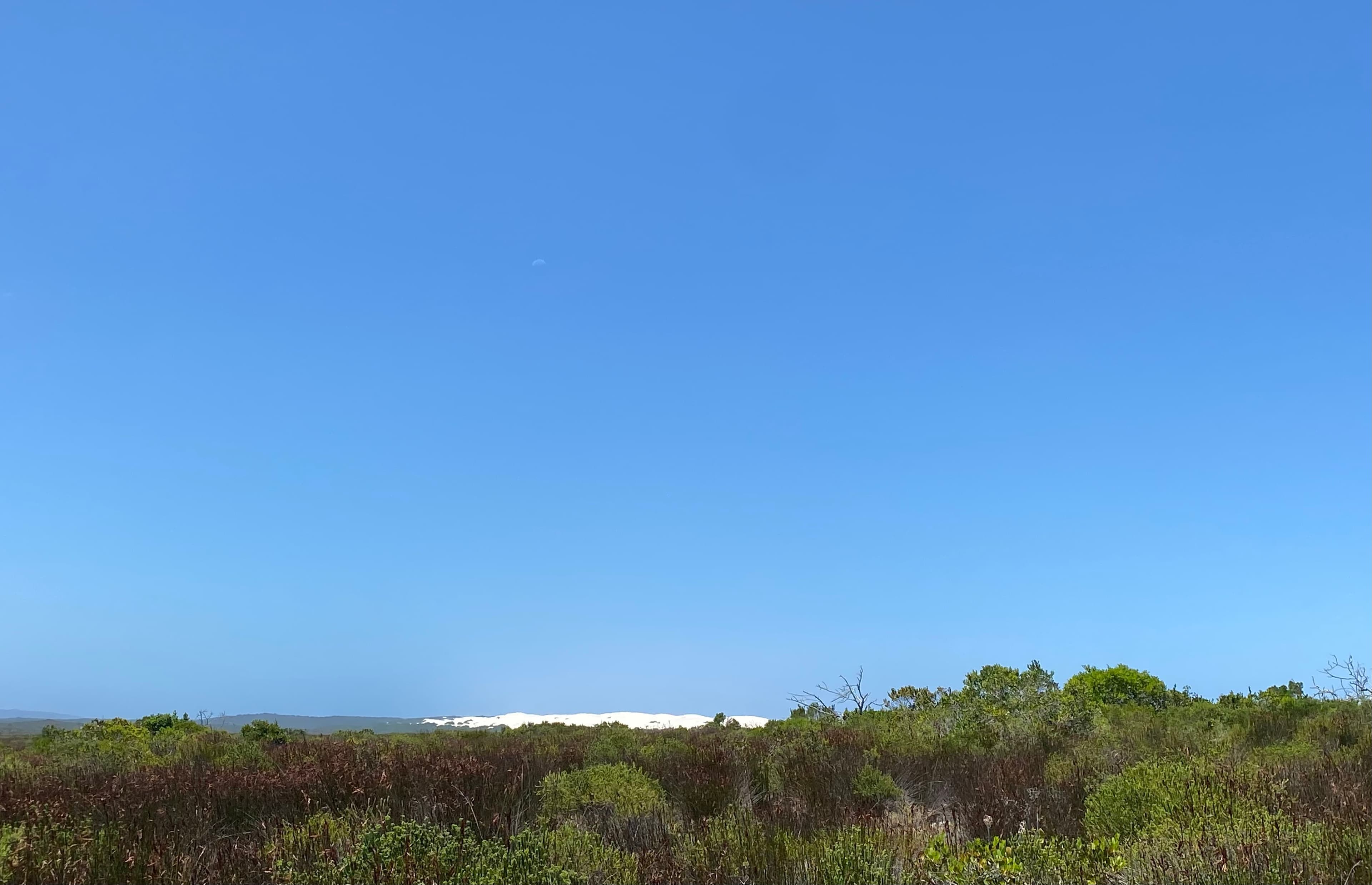 De Hoop Nature Reserve