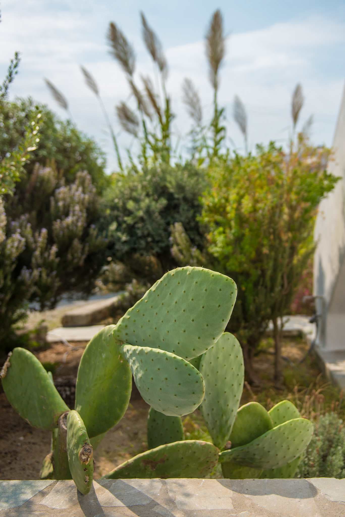 Vienoula's Garden Hotel Ansicht 7