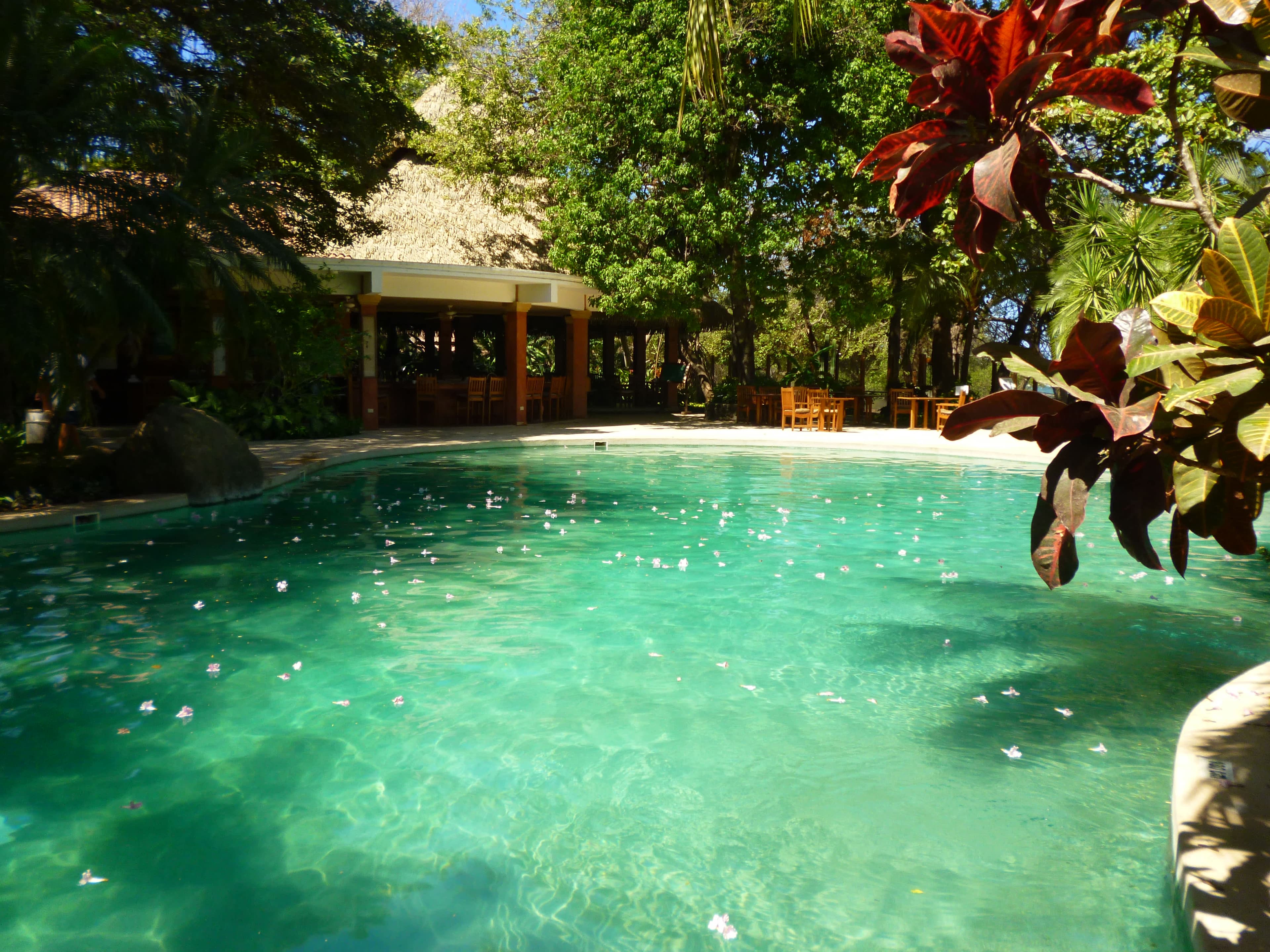 Capitán Suizo Beachfront Boutique Hotel Ansicht 7