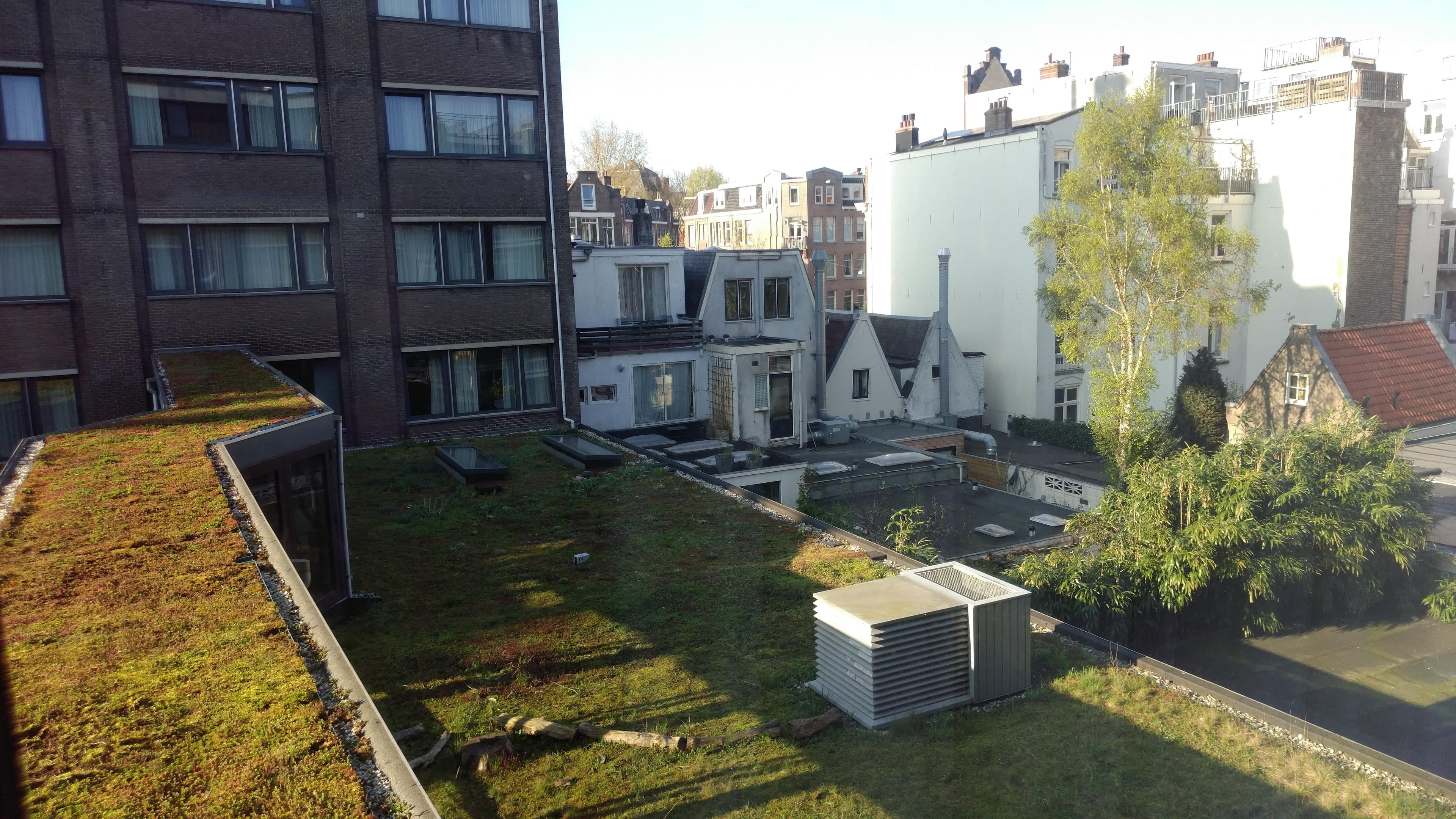 Conscious Hotel Vondelpark Ansicht 7