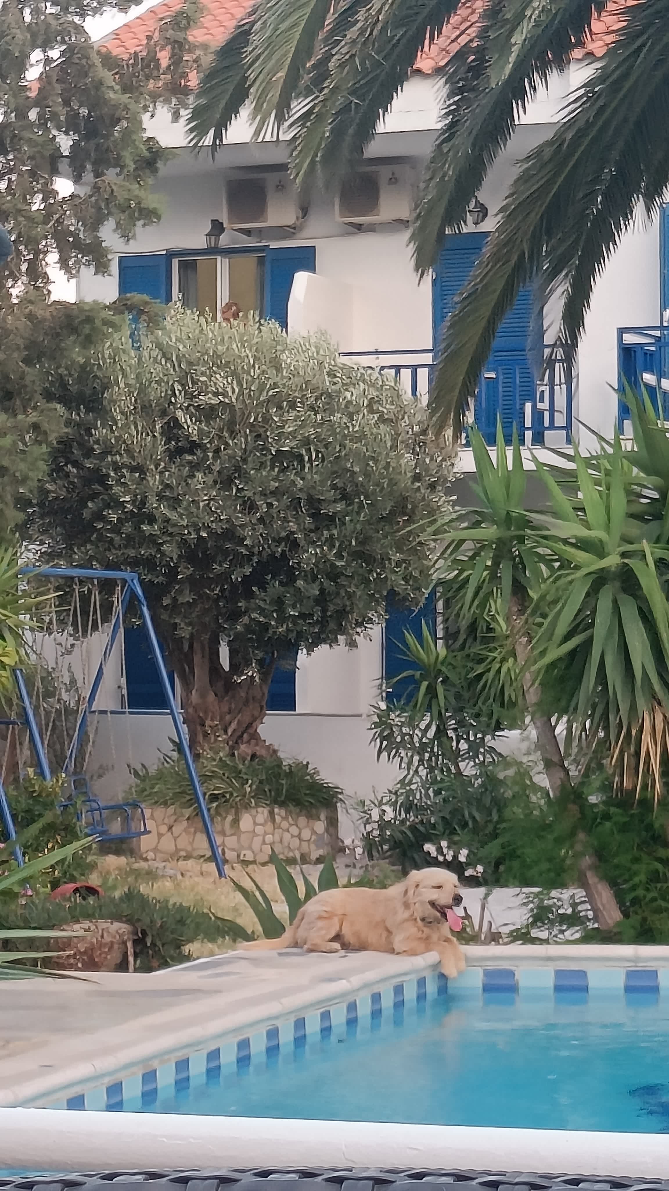 Hotel Sofia
