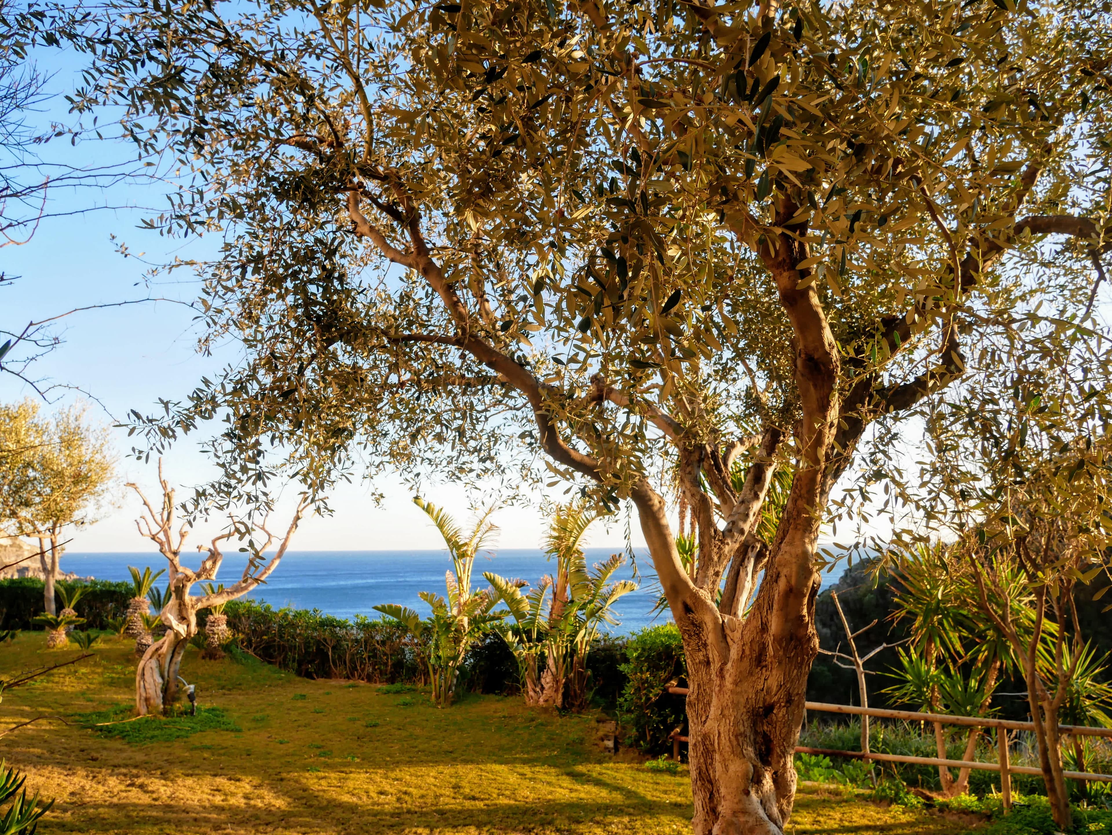 Hotel Torre Sant' Angelo Ansicht 9