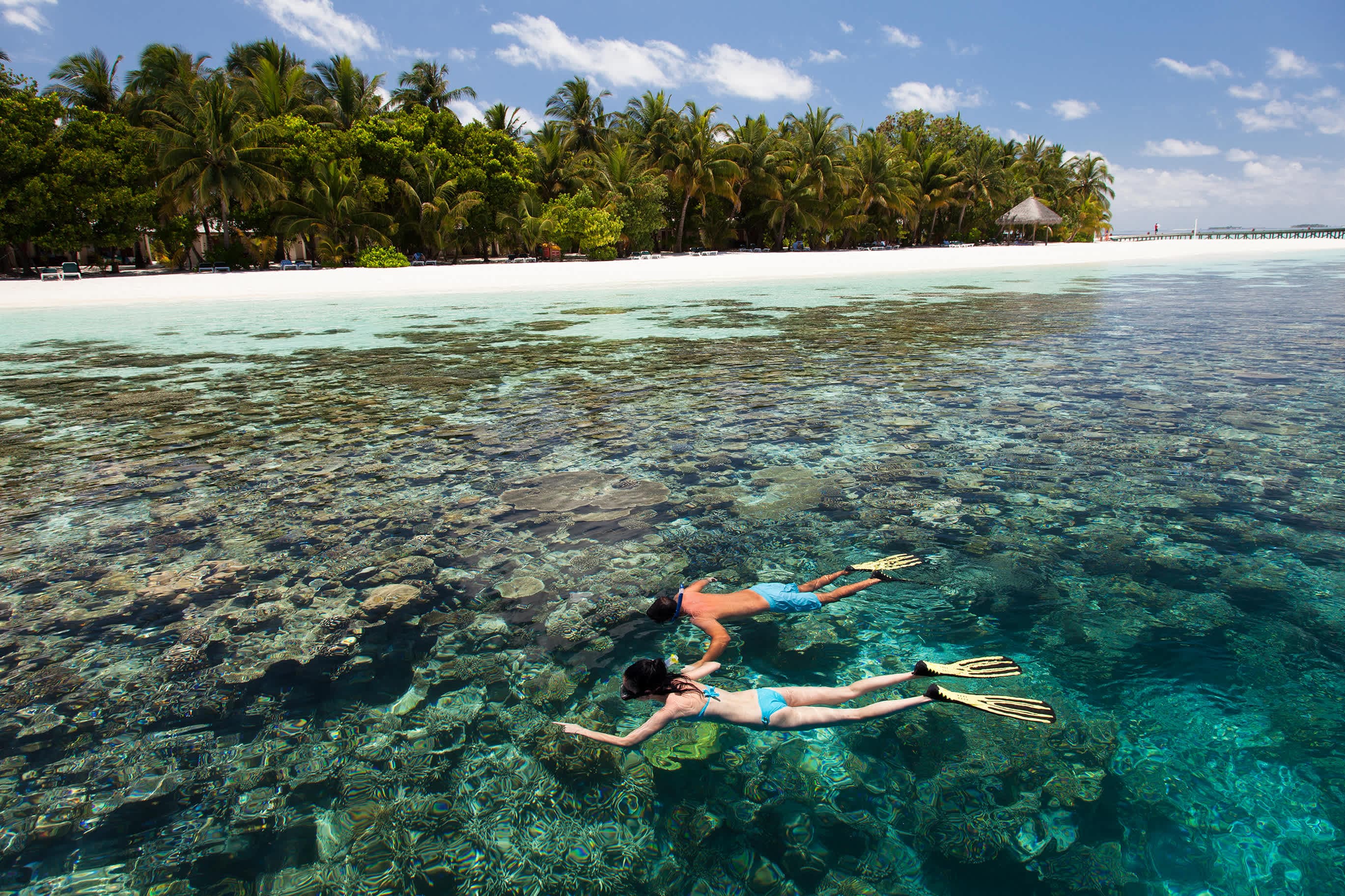 Vilamendhoo Island Resort & Spa Ansicht 7