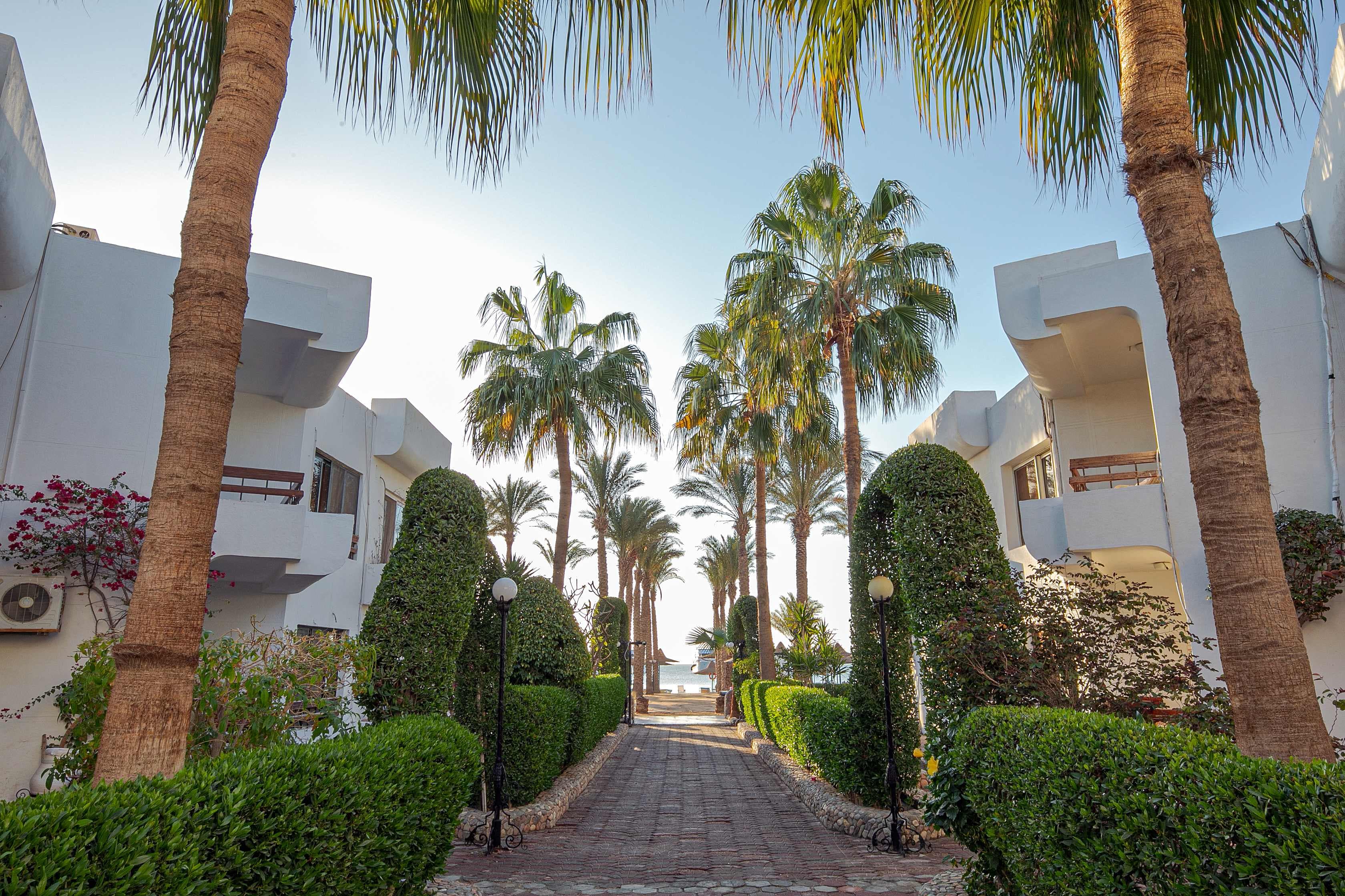 Marlin Inn Azur Resort Ansicht 2