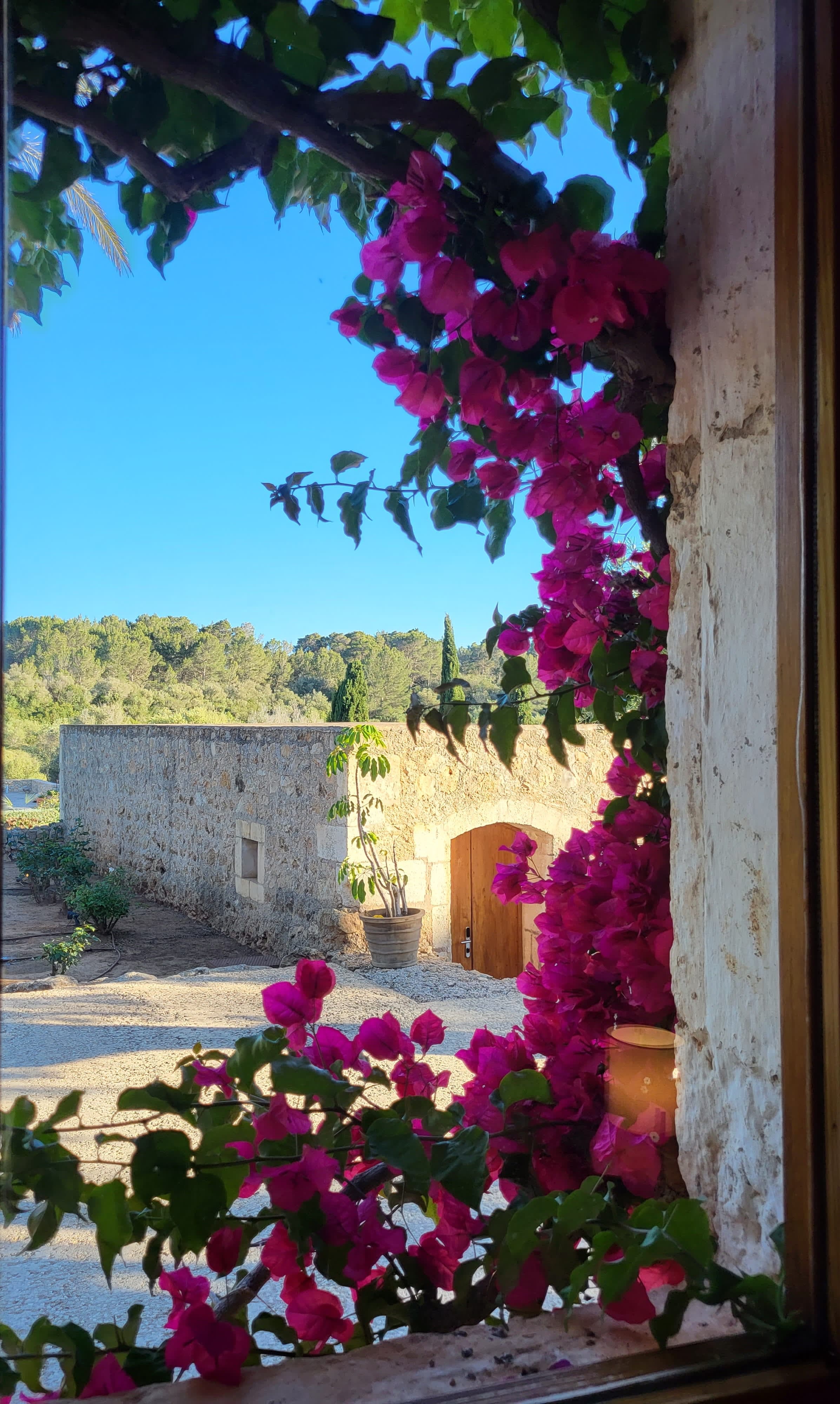 Son Penya Petit Hotel Ansicht 3