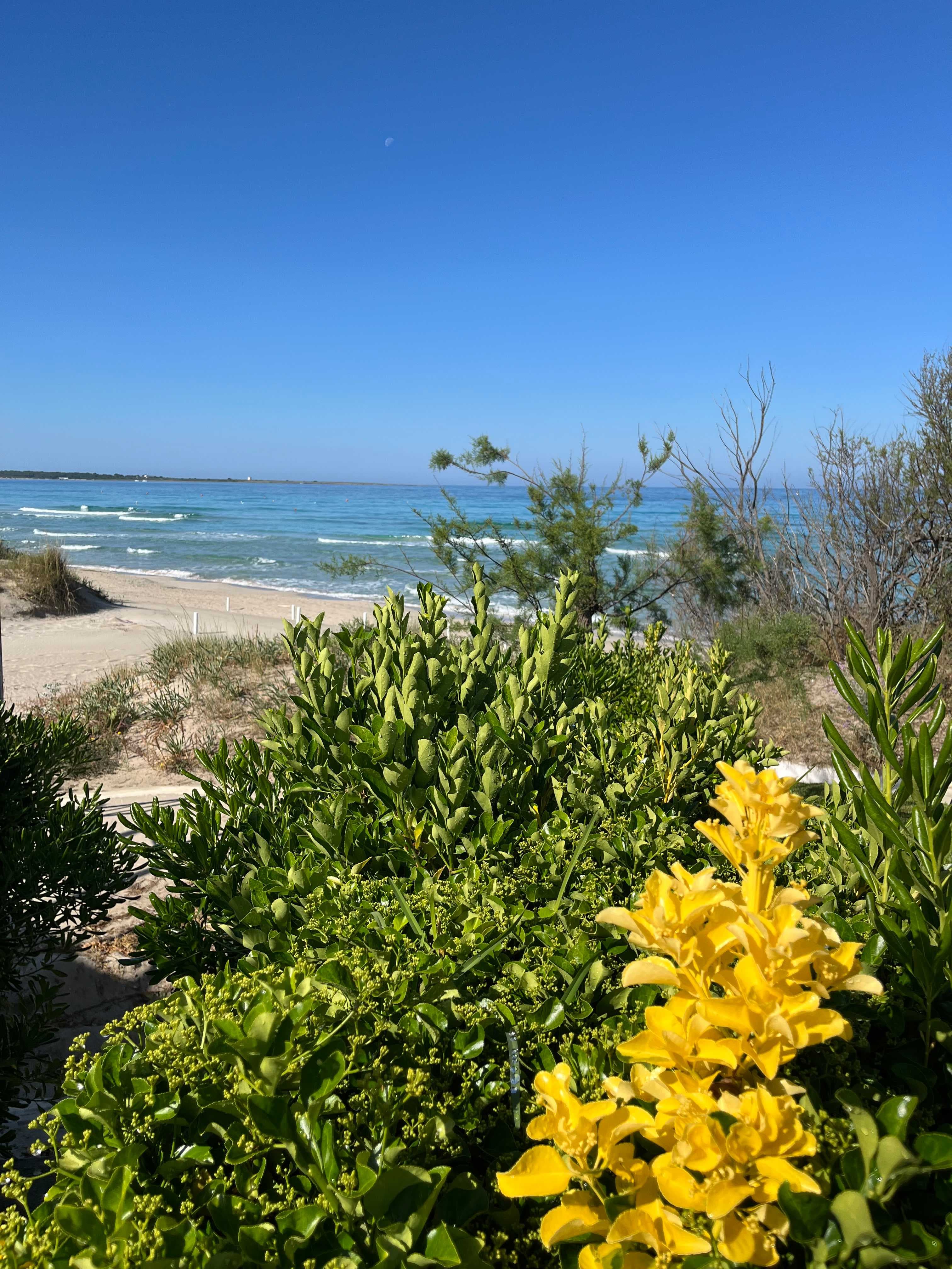 Hotel Costa Brada Ansicht 6