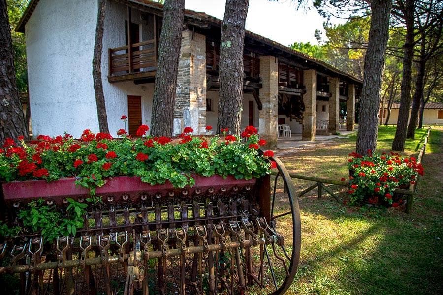 Belvedere Pineta Camping Village
