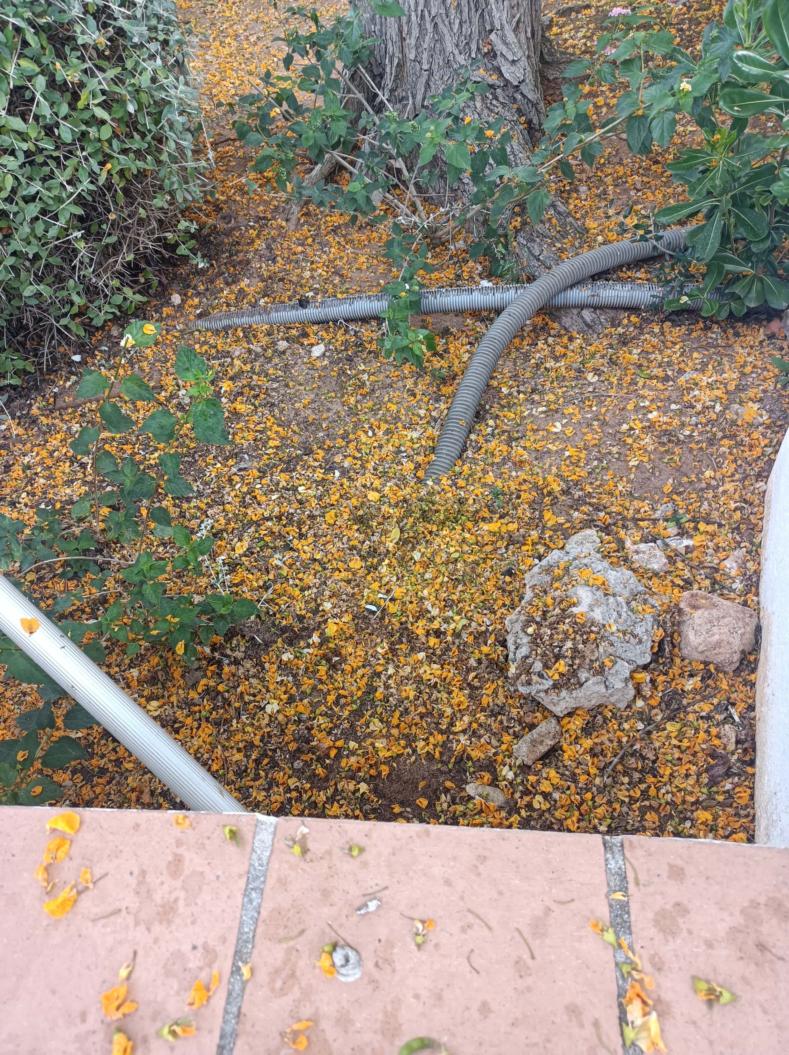 Sol Falcó Menorca Ansicht 3