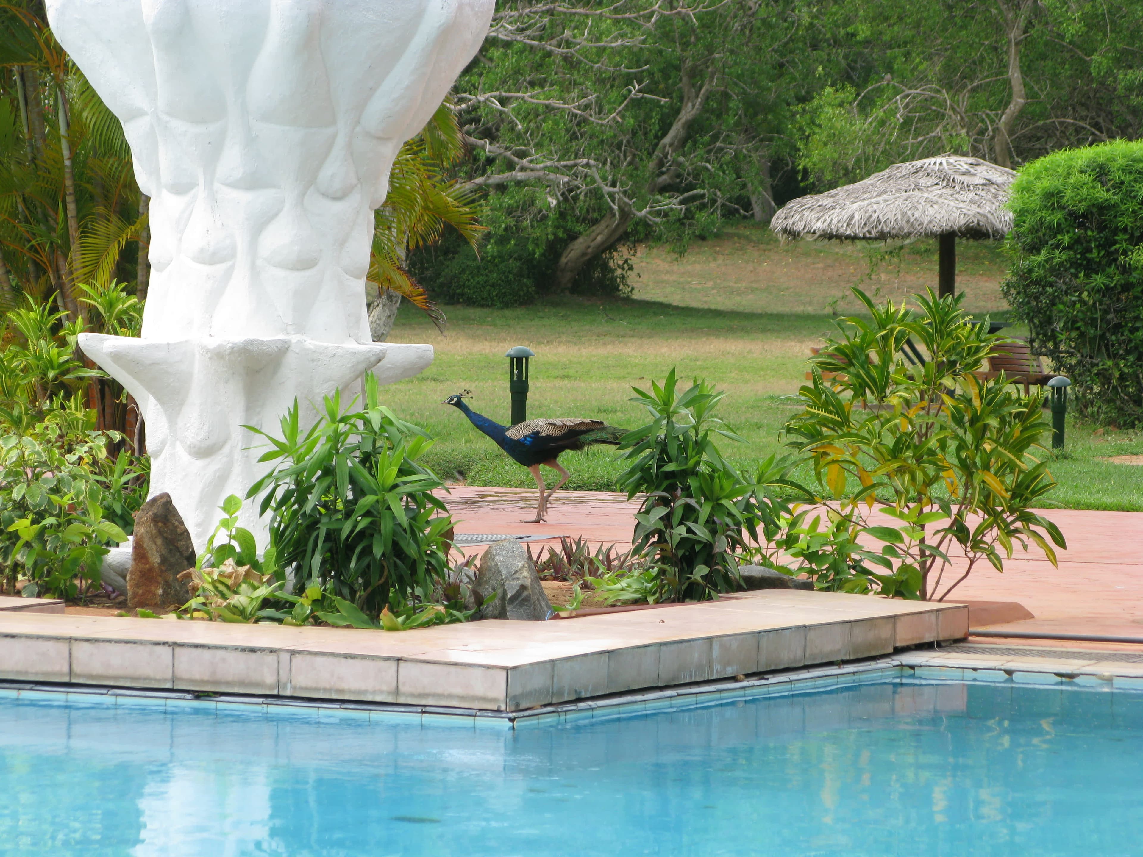 The Oasis Ayurveda Beach Resort Ansicht 5