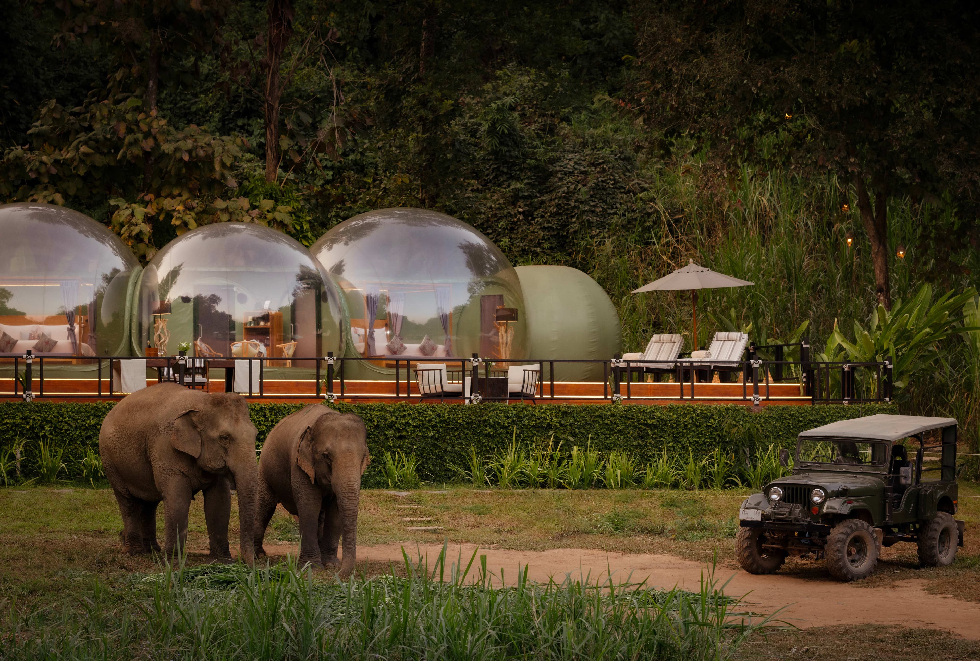 Anantara Golden Triangle Elephant Camp & Resort Ansicht 6