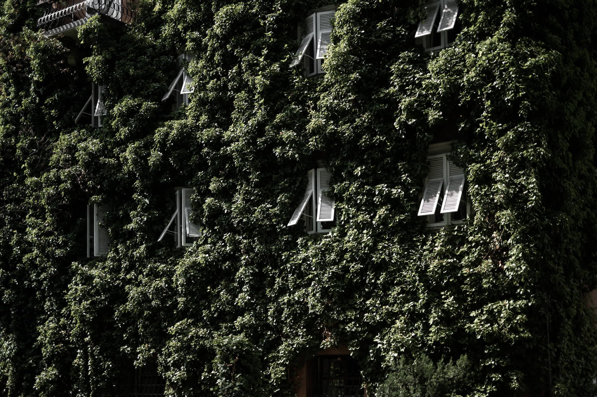 Parkhotel Luna Mondschein