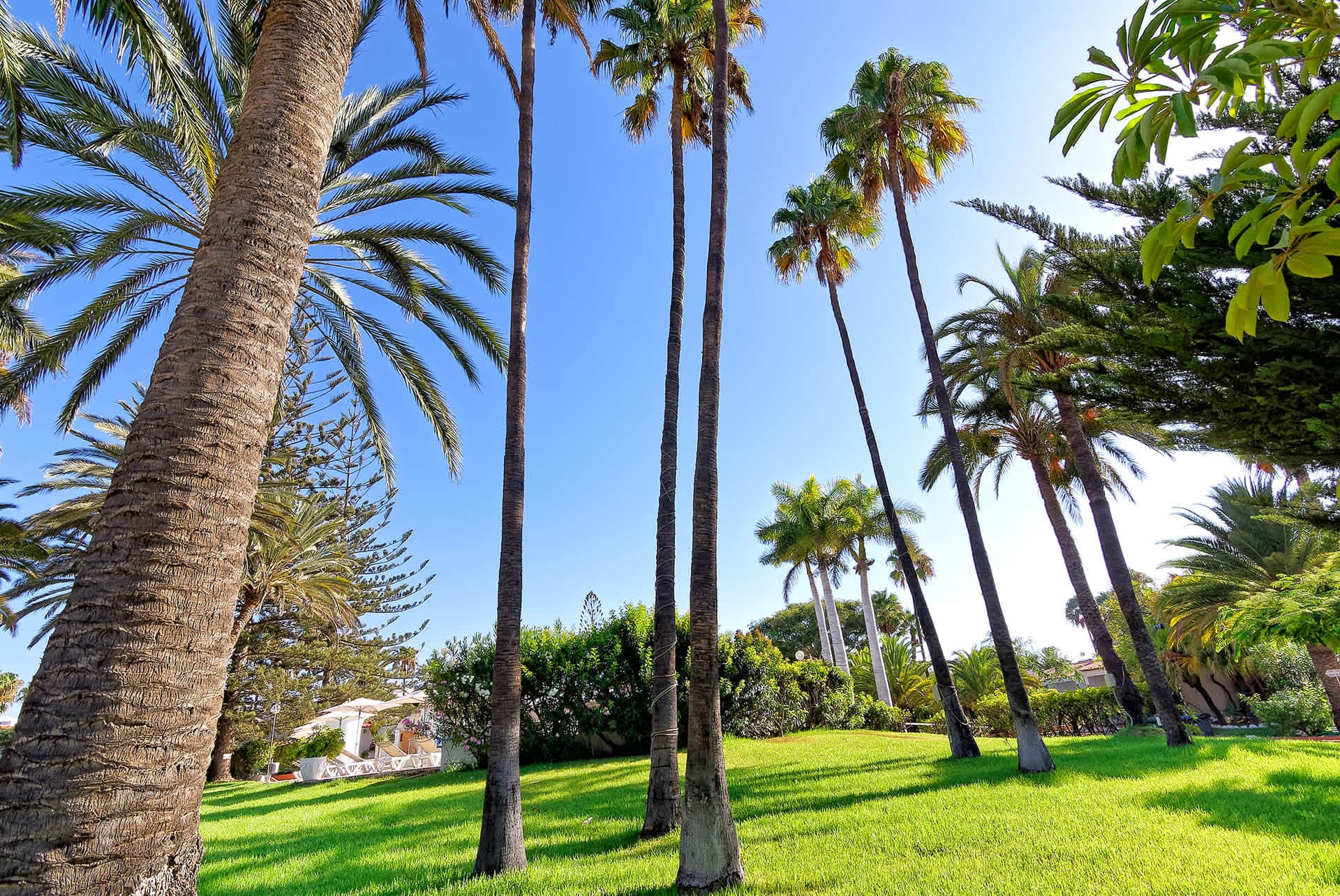 Bungalowhotel Parque del Paraiso I - Adult Hotel Ansicht 10