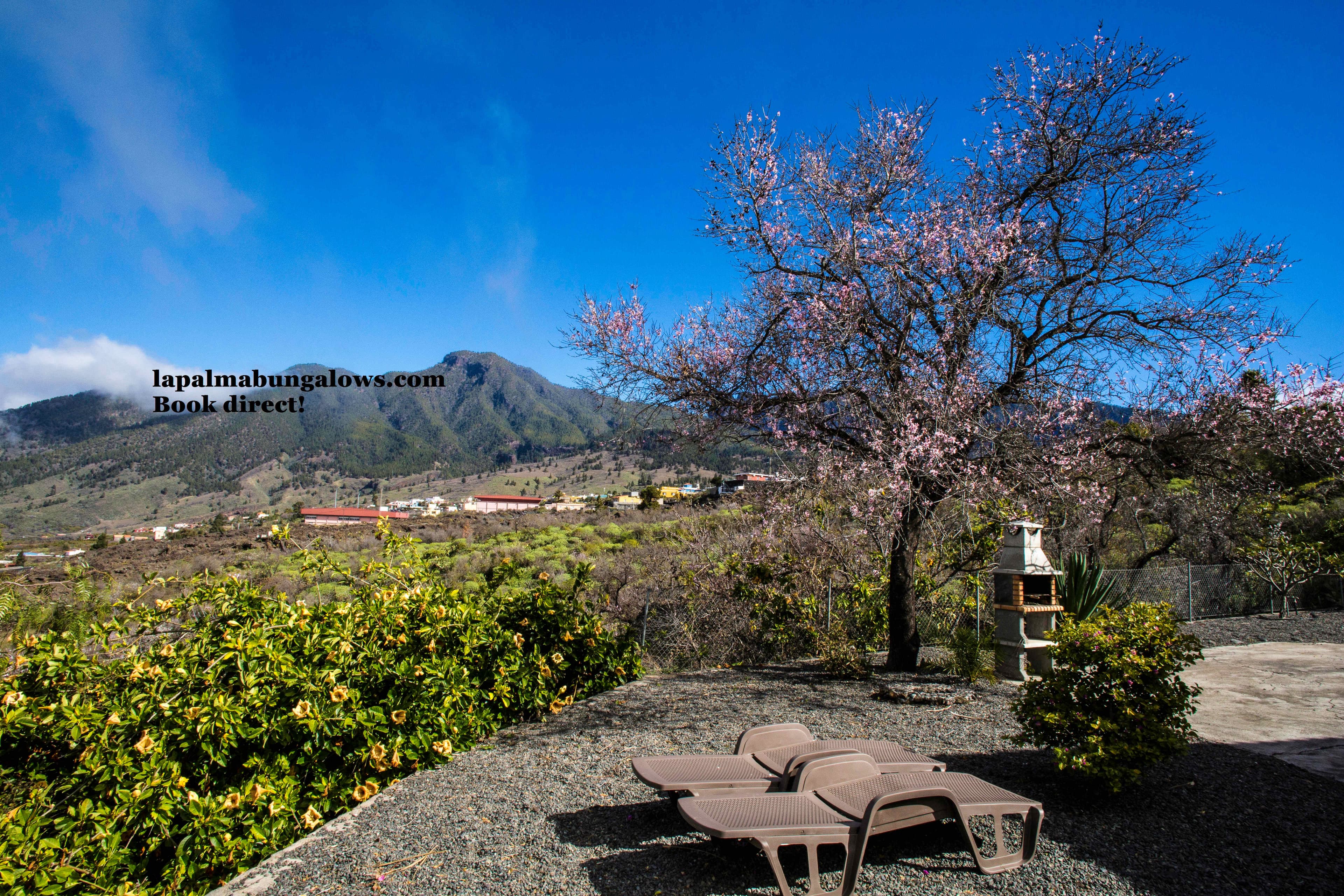 Los Guanches bungalows N14 Ansicht 8