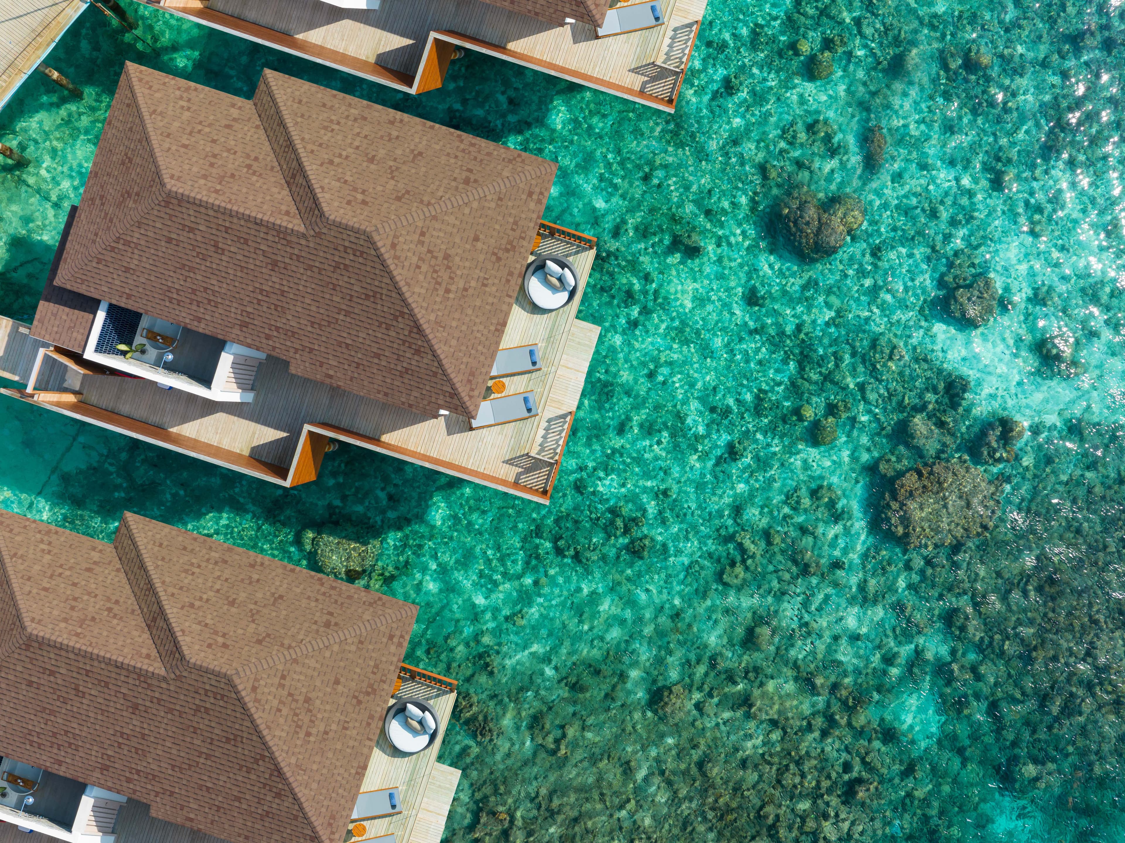 Avani+ Fares Maldives Resort Ansicht 2