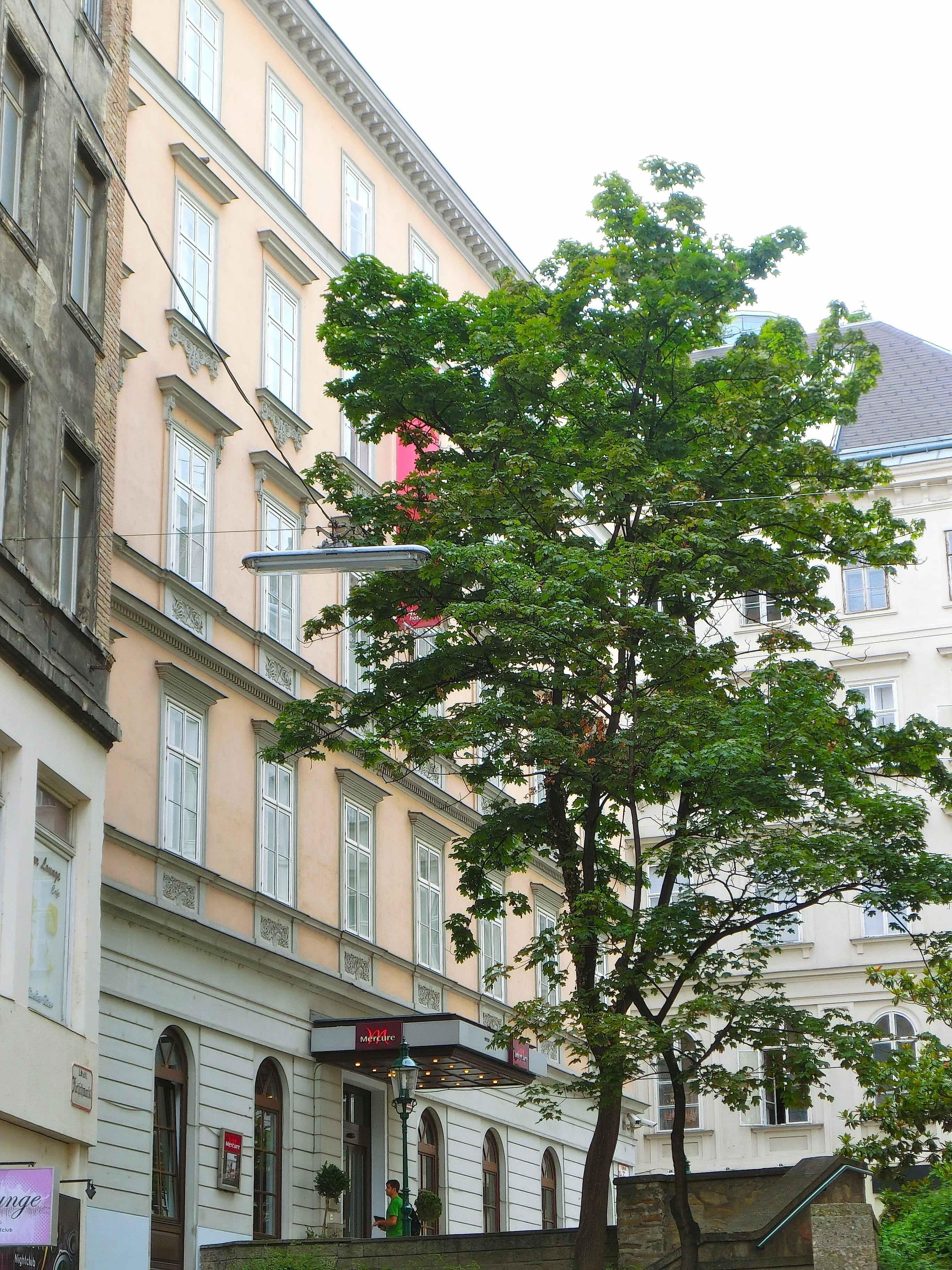 Hotel Mercure Wien Zentrum Ansicht 3