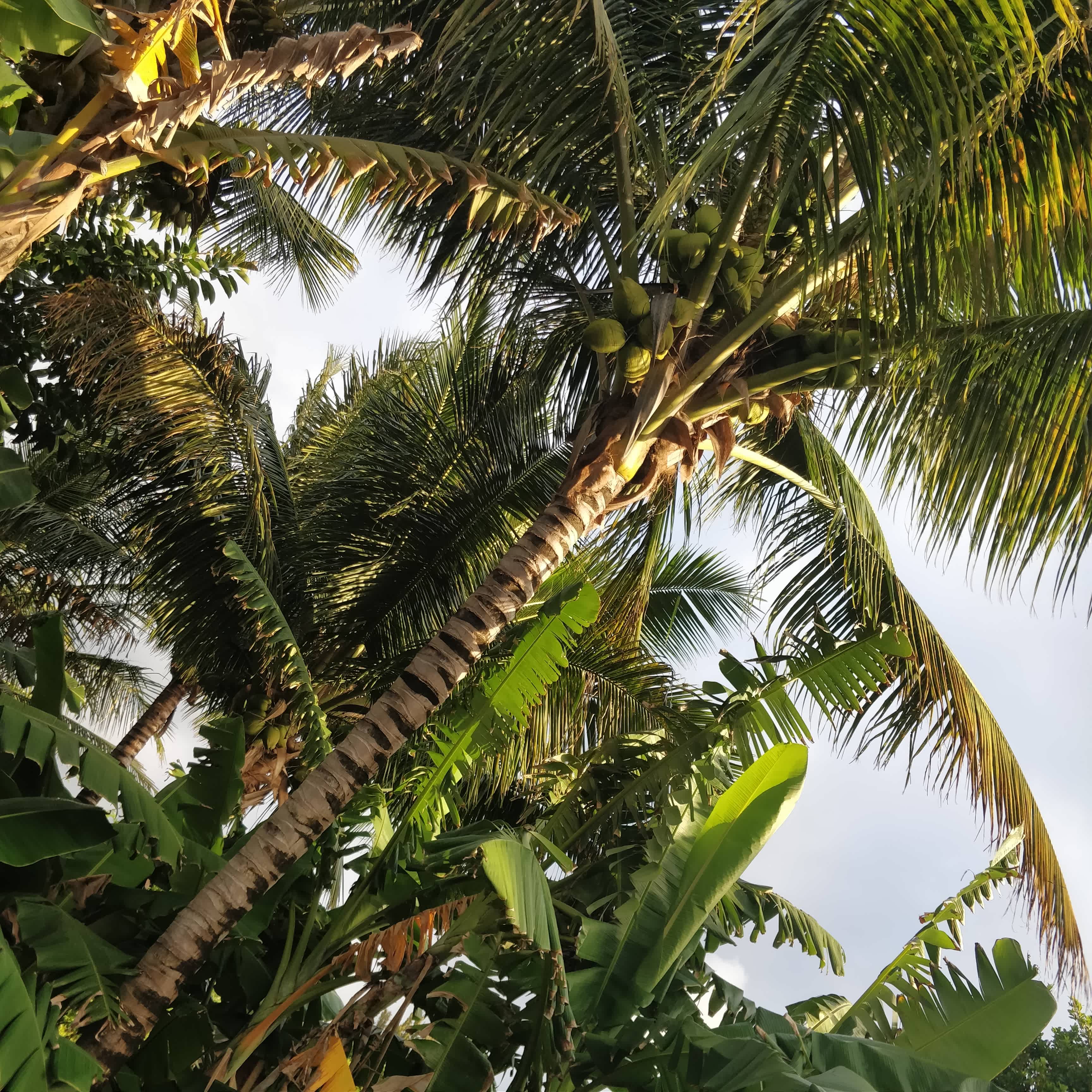 SO/ Mauritius Hotel Ansicht 3