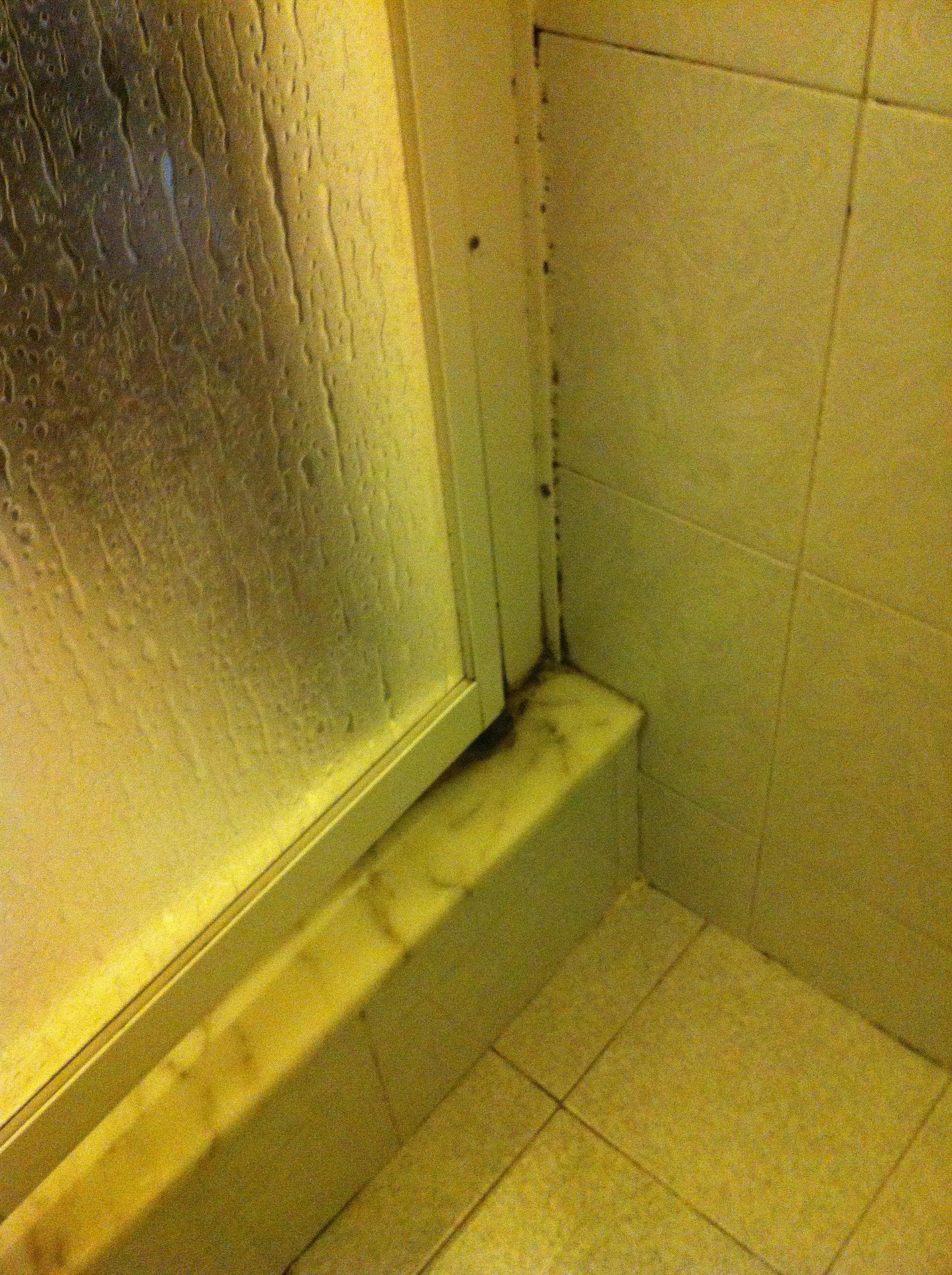 Hotel Tonic Ansicht 5