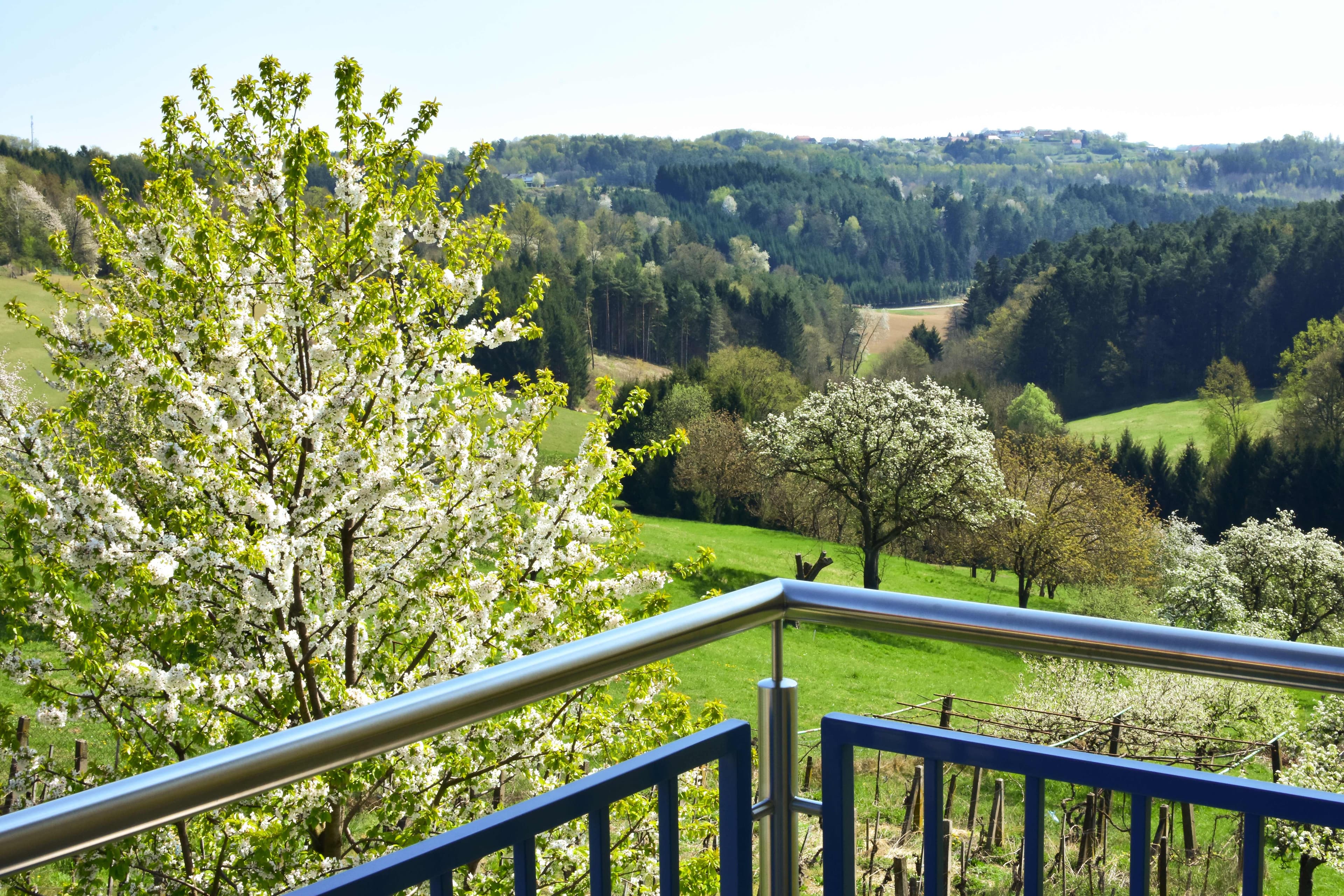Golf & Therme Sonnenpension Frühstückshotel Burgauberg Stegersbach Ansicht 9