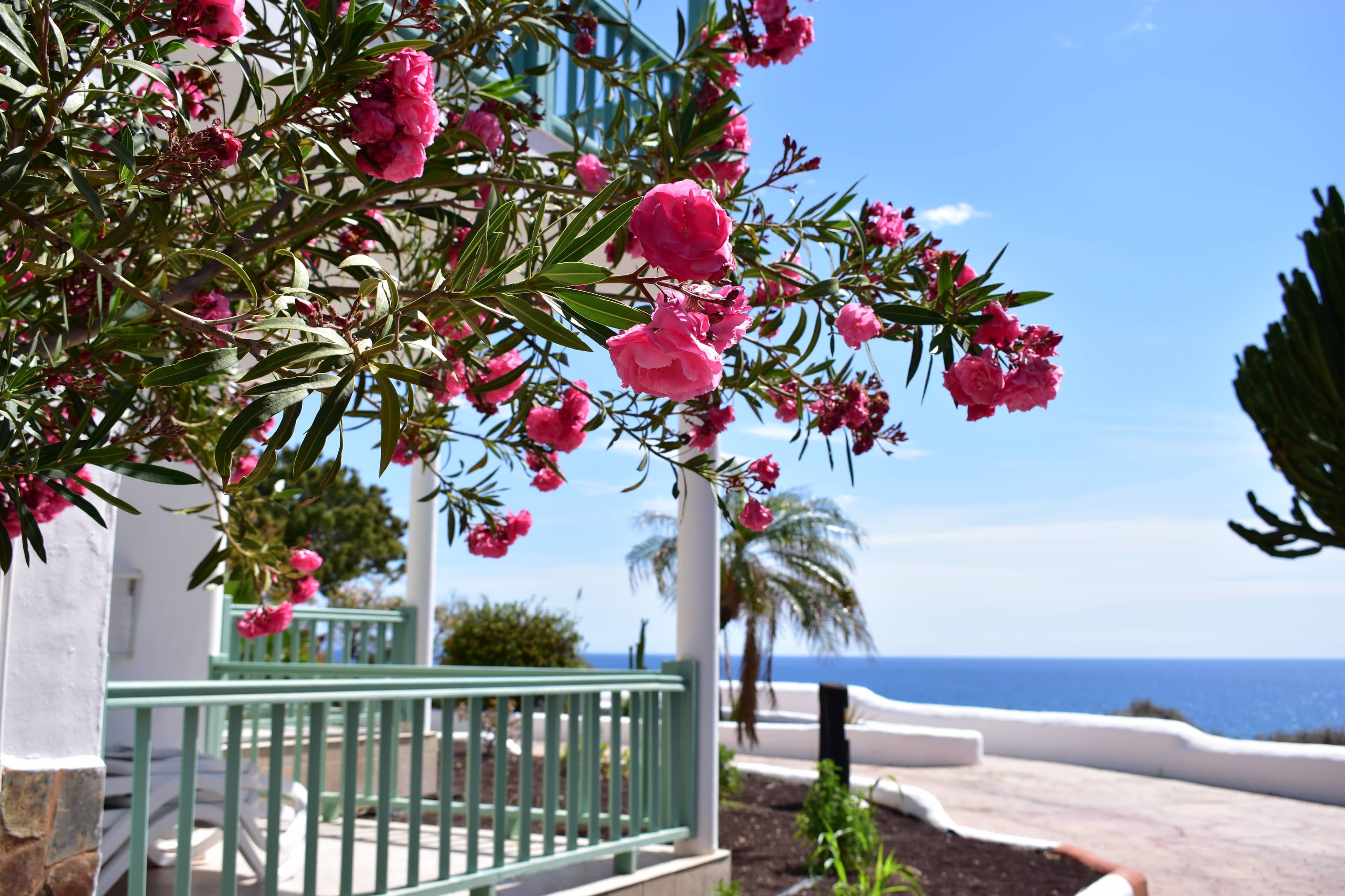 Aldiana Club Fuerteventura Ansicht 3