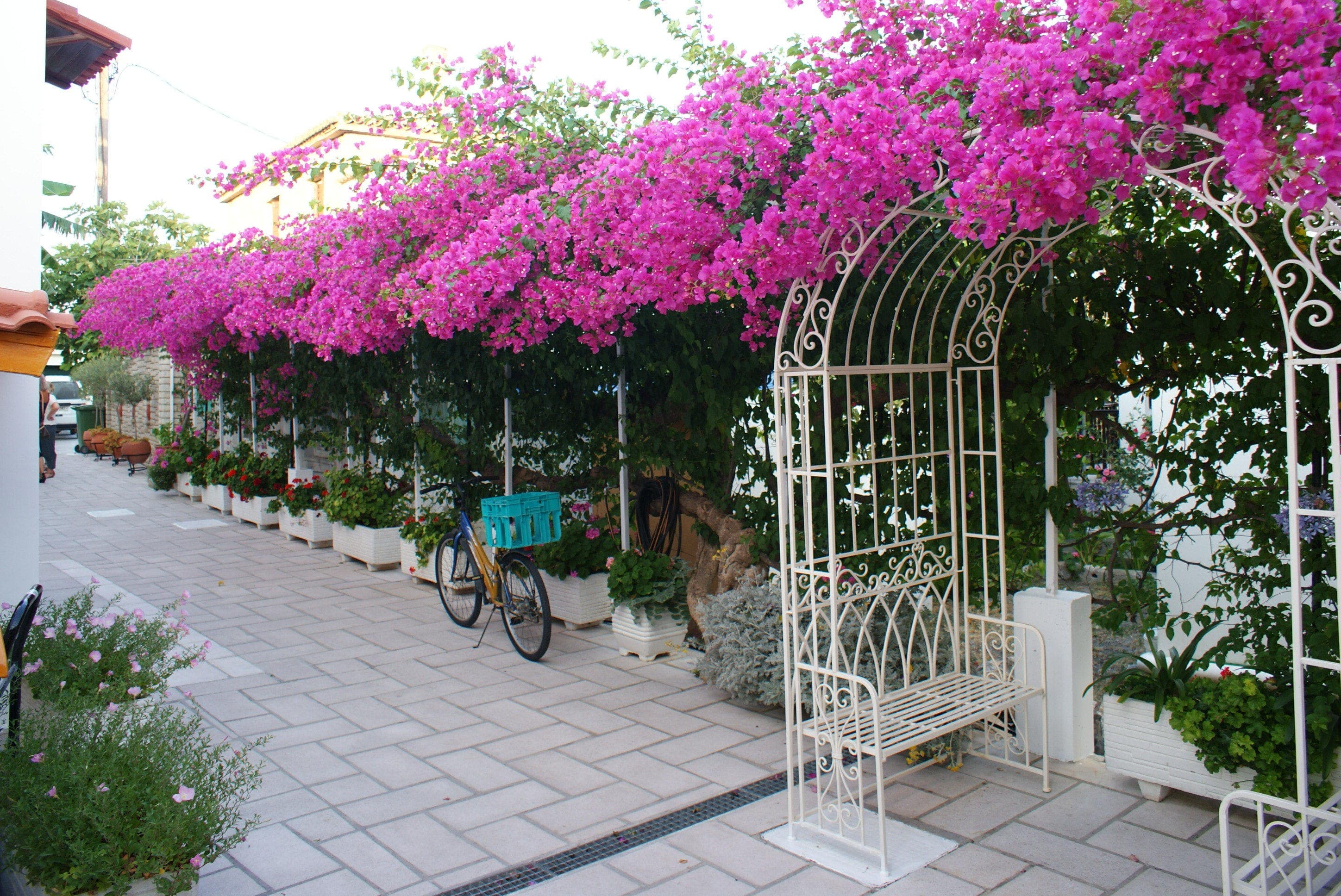Hotel Olympia Village Ansicht 9
