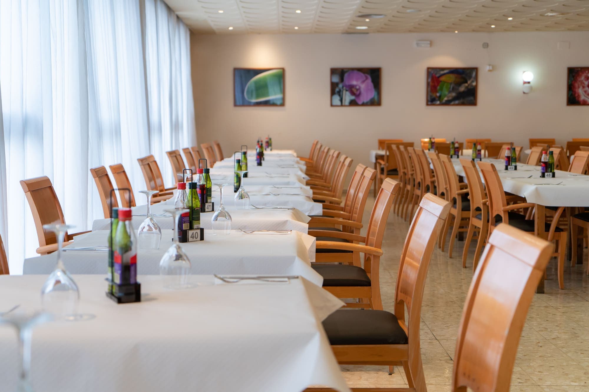MedPlaya Hotel Santa Monica Ansicht 8