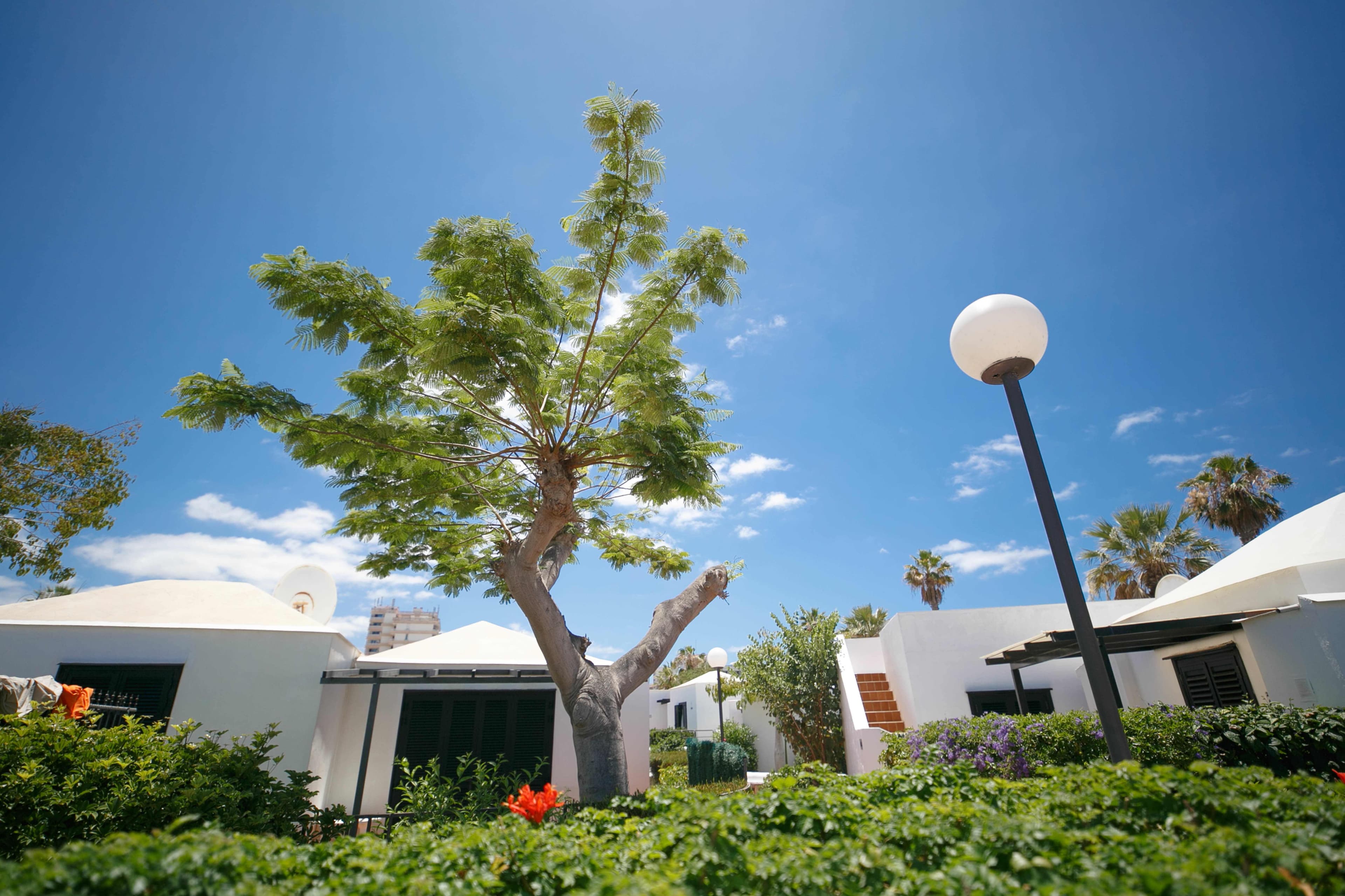 Los Cardones Boutique Village Ansicht 3