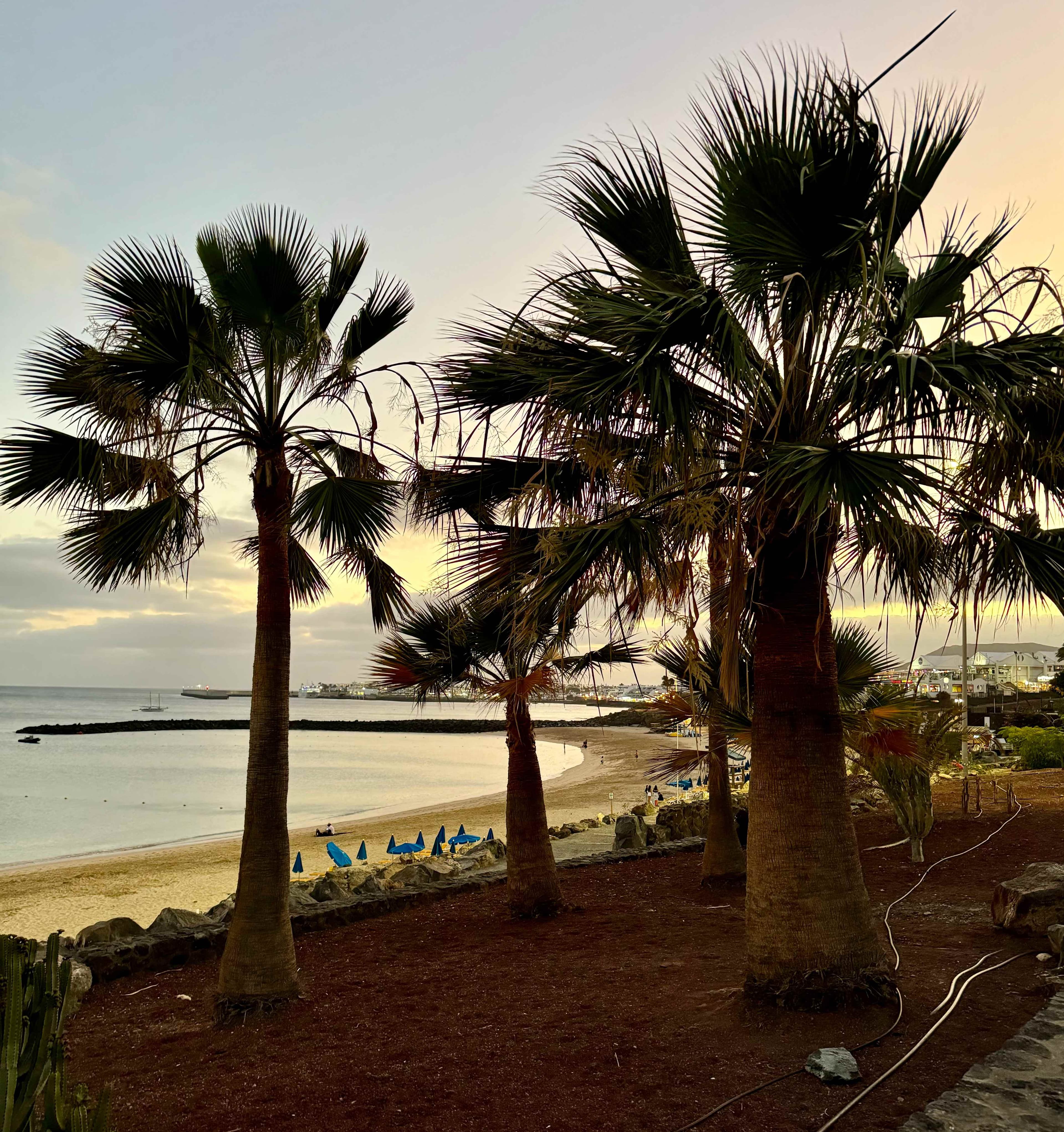 Barceló Playa Blanca Ansicht 9