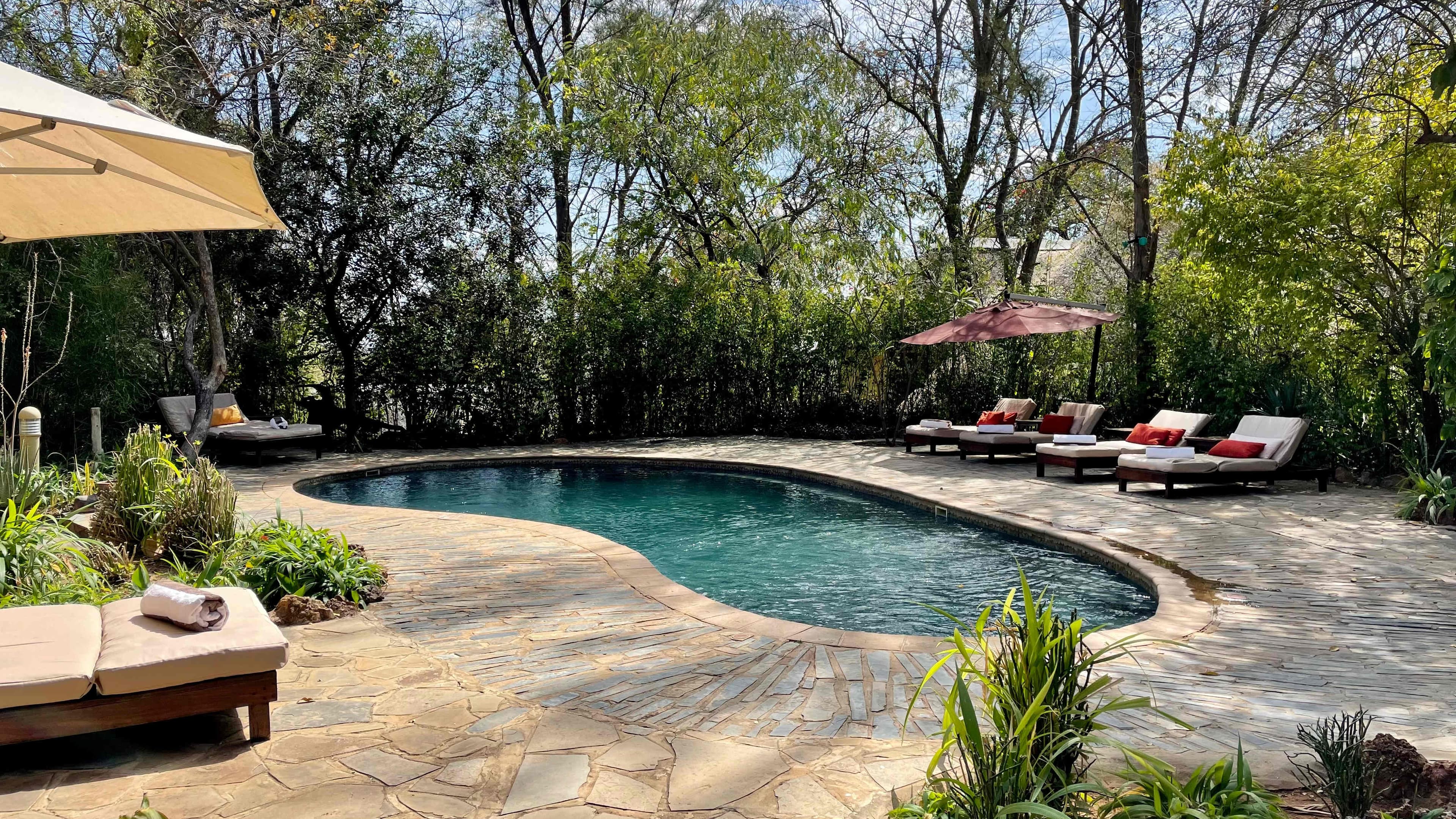 Divava Okavango Lodge & Spa Ansicht 8