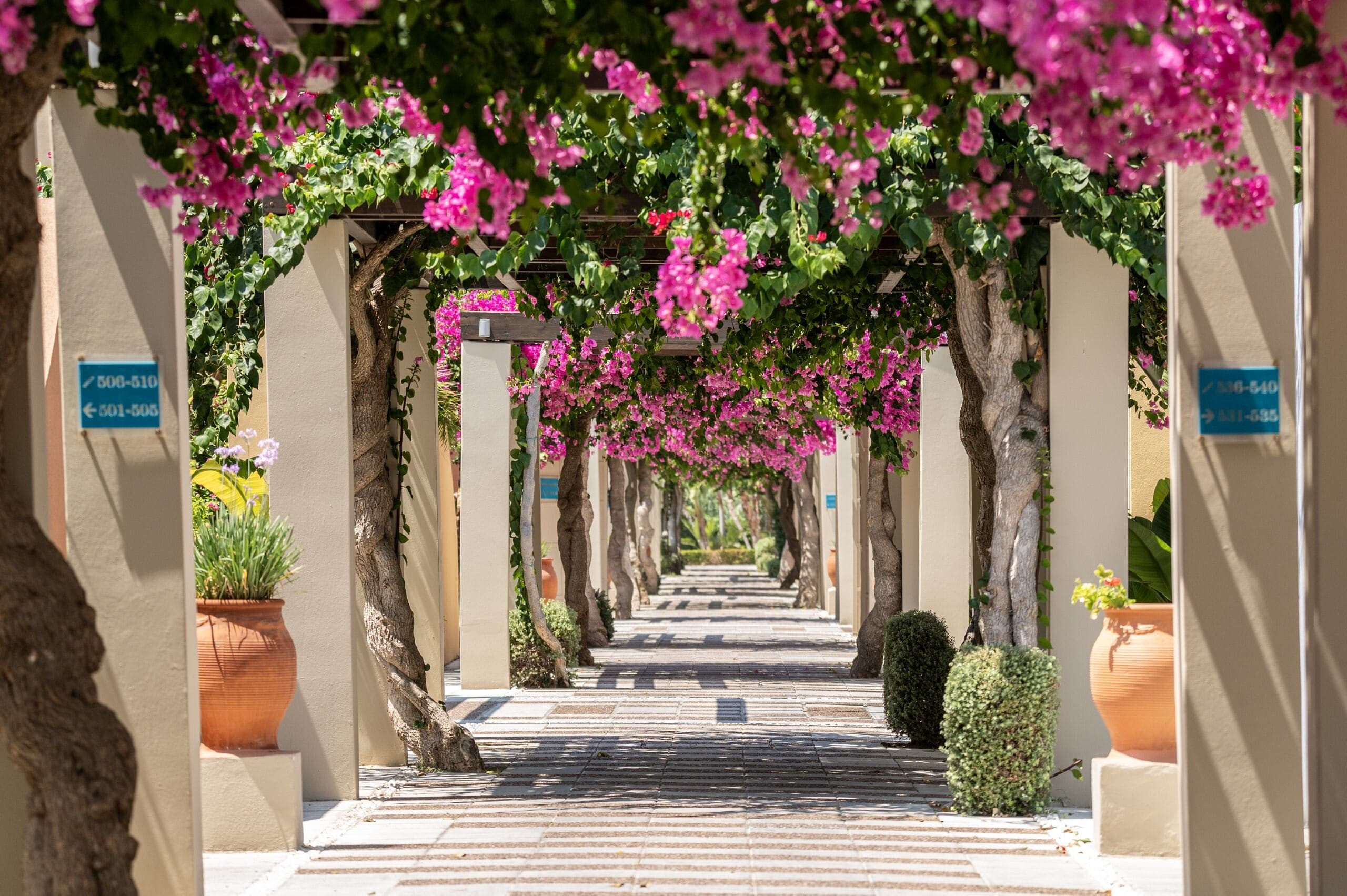Astir Odysseus Kos Resort & Spa Ansicht 8