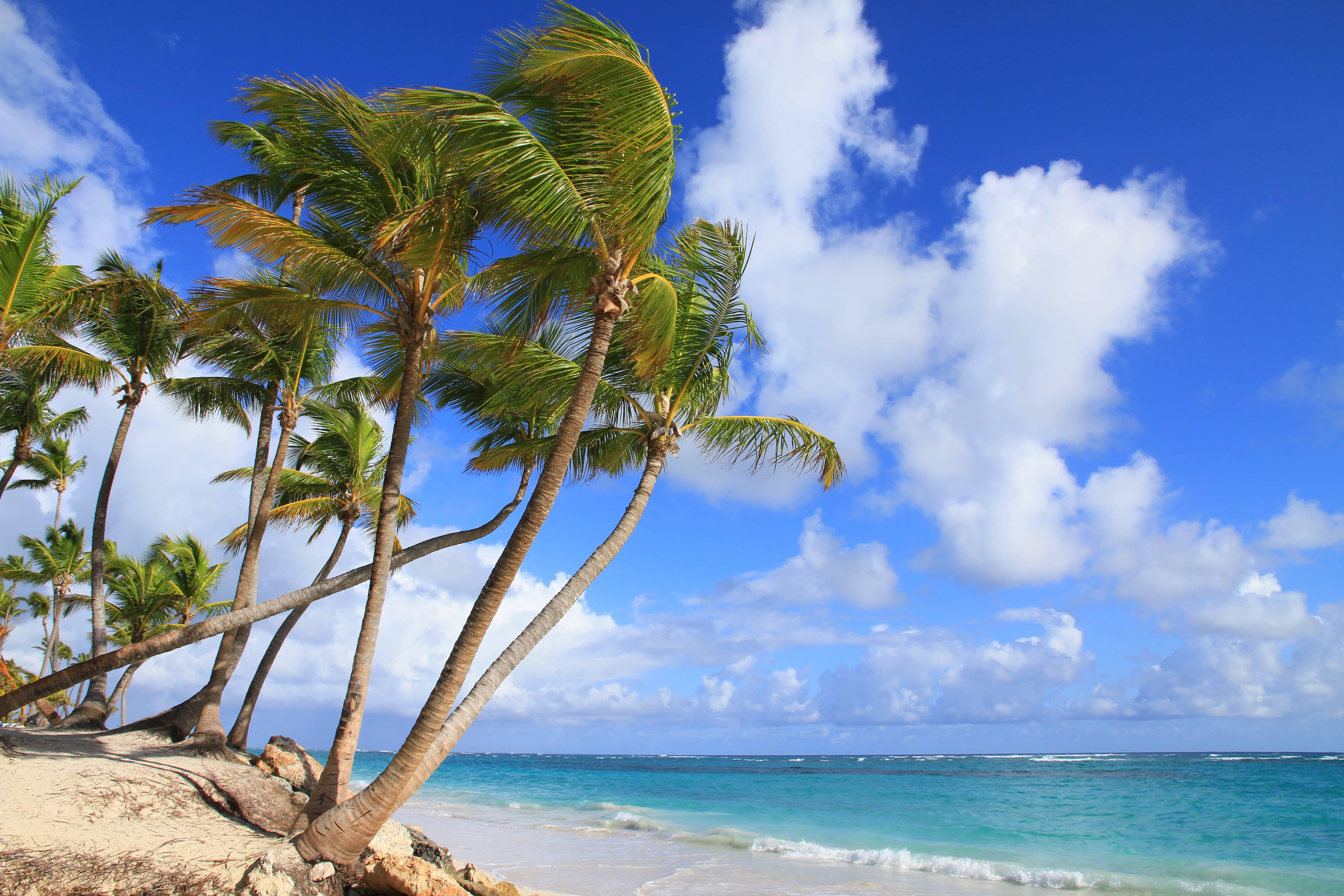 Iberostar Waves Punta Cana Ansicht 9