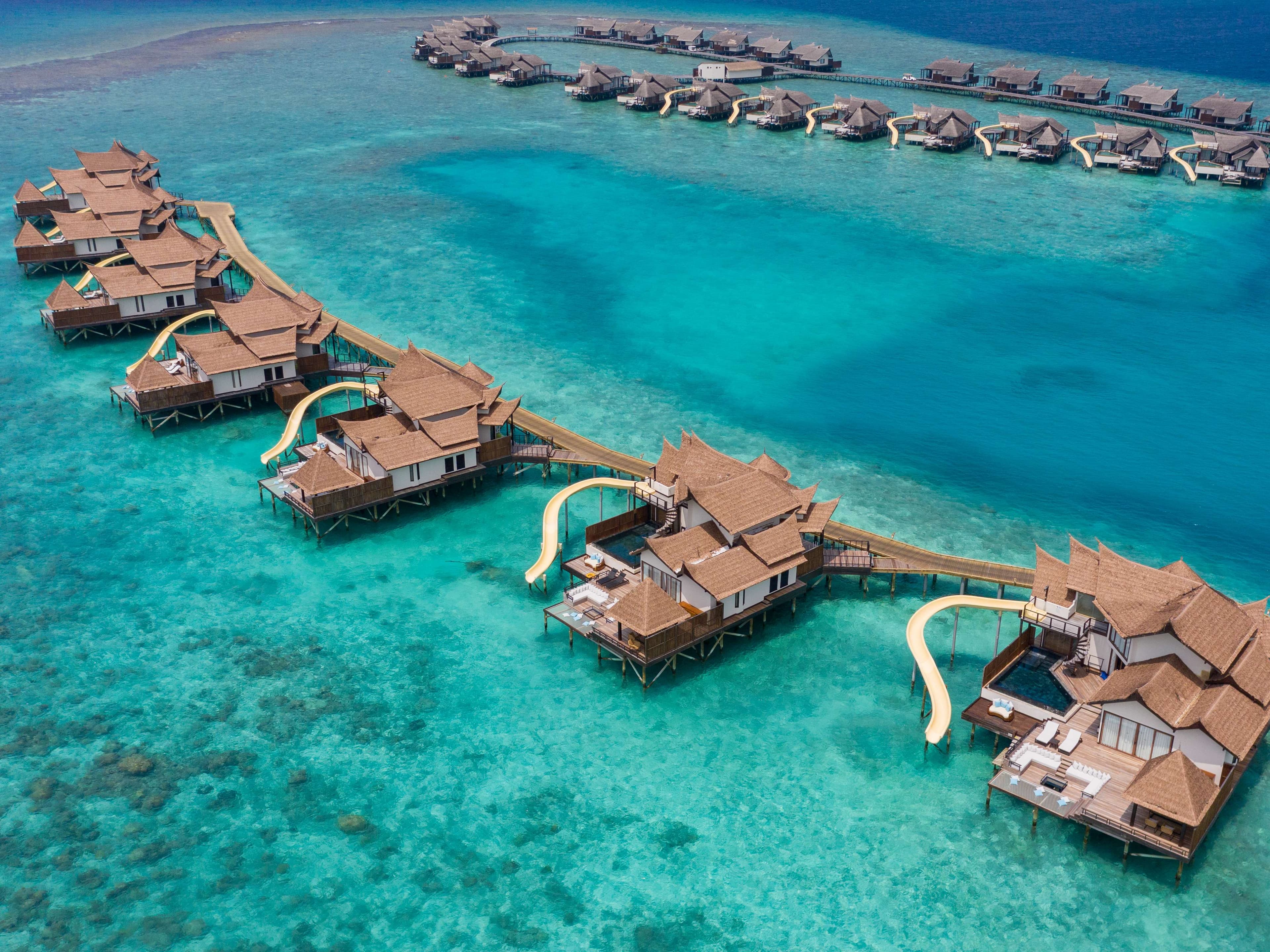 OZEN RESERVE BOLIFUSHI Ansicht 3