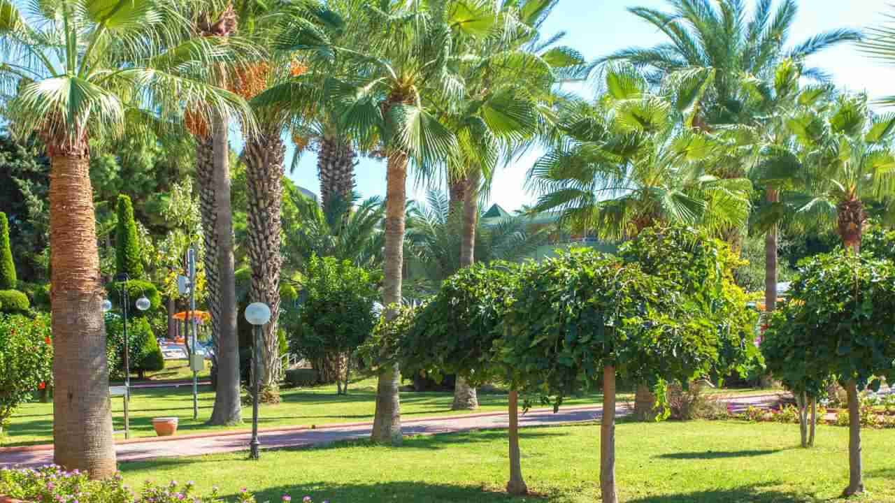 Lonicera Resort & Spa Hotel Ansicht 8