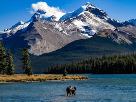 Rundreisen Kanada - Westkanada: Flexible Mietwagen-Rundreise ab Vancouver bis Edmonton:  Kanadas Heiße Quellen entdecken