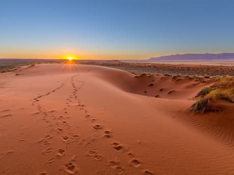 Rundreisen Namibia: Individuelle Rundreise ab/an Windhoek: Atemberaubendes Namibia