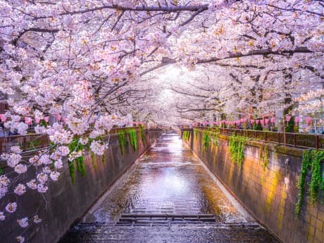 Rundreisen Japan: Individuelle Rundreise ab Tokio bis Osaka: Faszination Japan