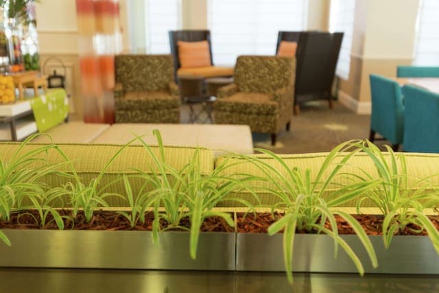 Hotel Hilton Garden Inn St. Augustine Beach