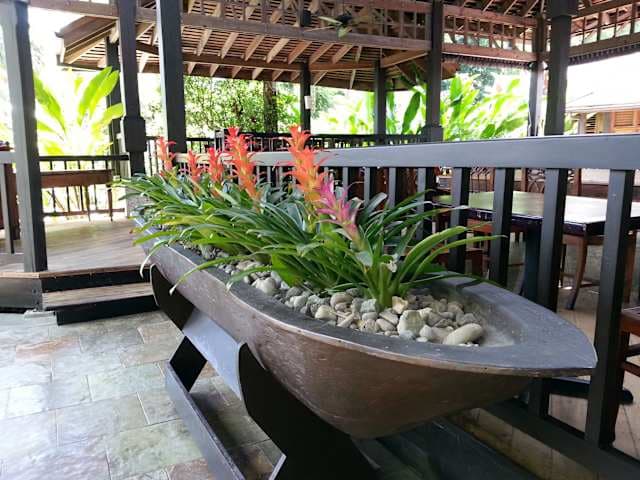 Sunset at the Palms Resort - Adults Only