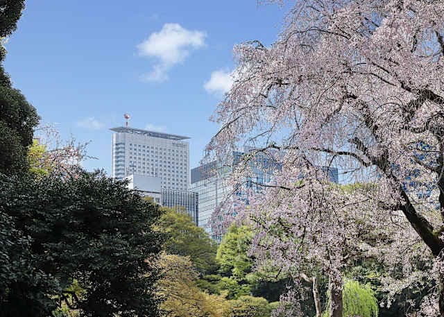 Hotel Century Southern Tower Tokyo