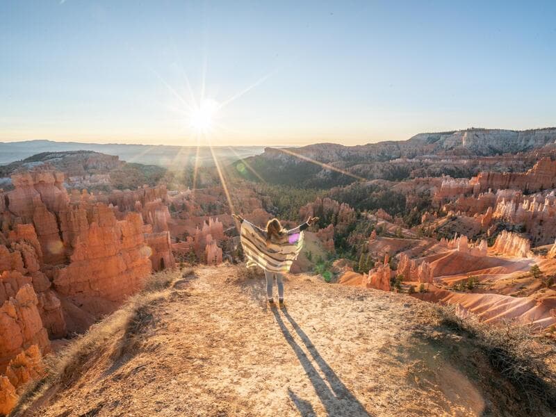 Navigator of the Seas