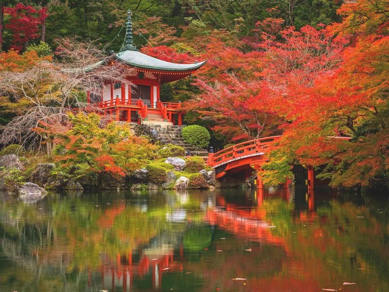 Rundreisen Japan: Große Eindrücke in kleiner Runde - Zen, Züge, Zauber