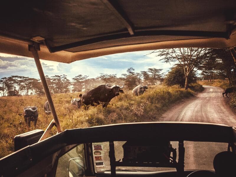 Hotel Kilifi Bay Beach Resort, Kilifi Creek